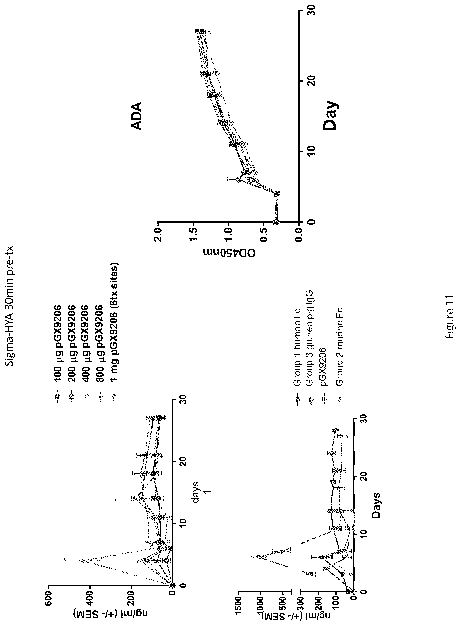 Patent US12617841 Figure 13 – Nucleic acid antibody constructs for use against respiratory syncytial virus