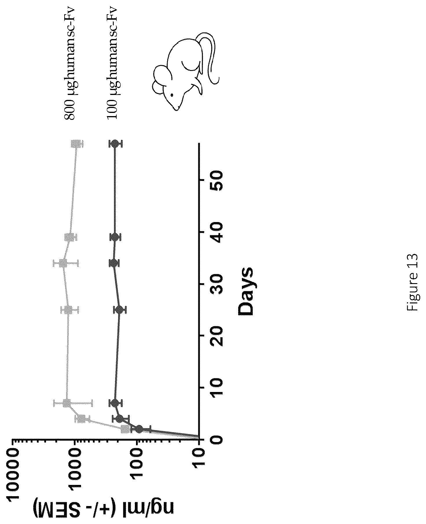 Patent US12617841 Figure 15 – Nucleic acid antibody constructs for use against respiratory syncytial virus