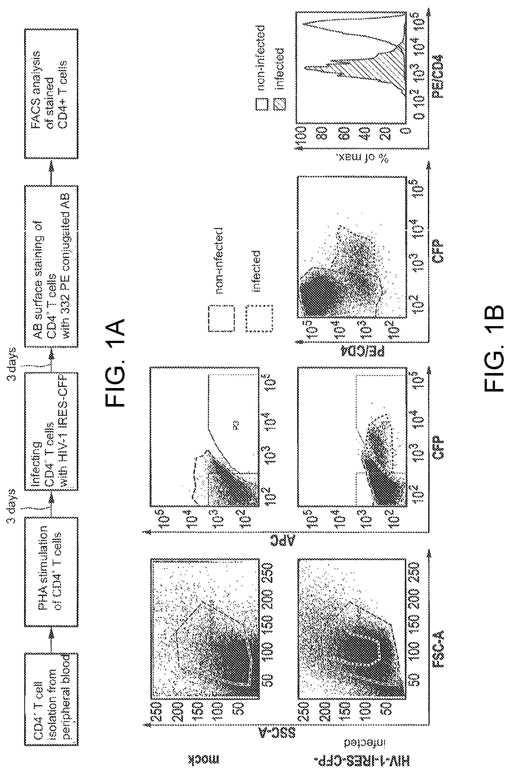 Patent US12617842 Figure 1 – Antiviral immunotherapy by membrane receptor ligation