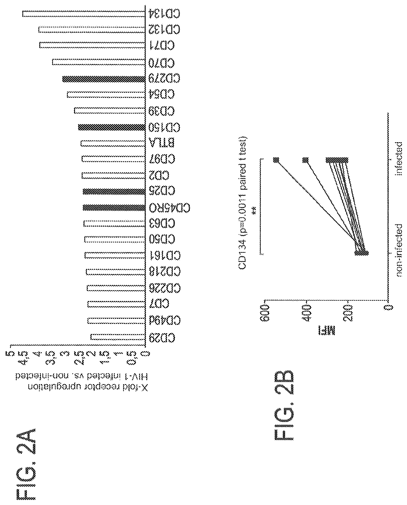 Patent US12617842 Figure 2 – Antiviral immunotherapy by membrane receptor ligation