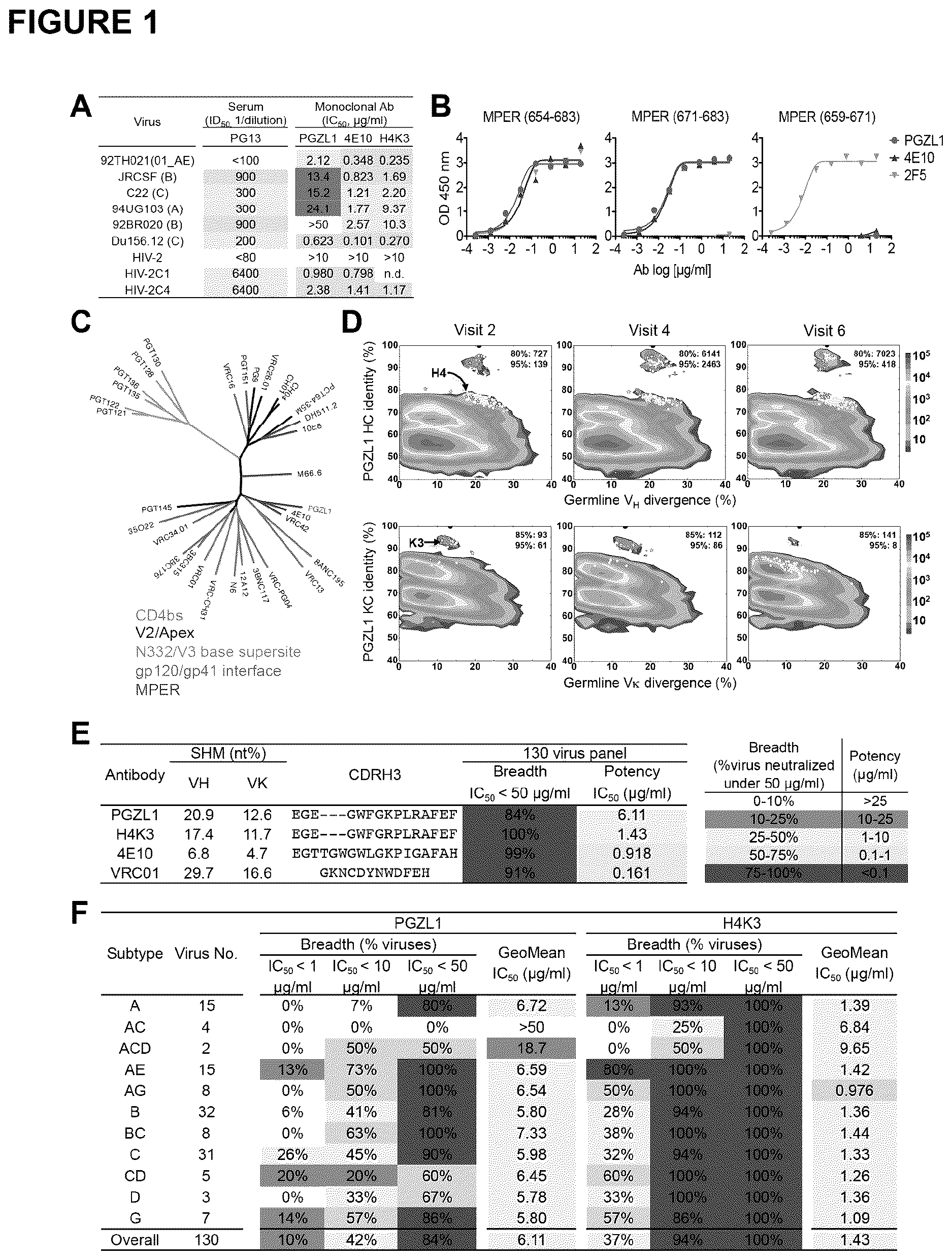 Patent US12617843 Figure 1 – Human broadly neutralizing antibodies against the membrane-proximal external region of HIV Env for vaccine design and intervention