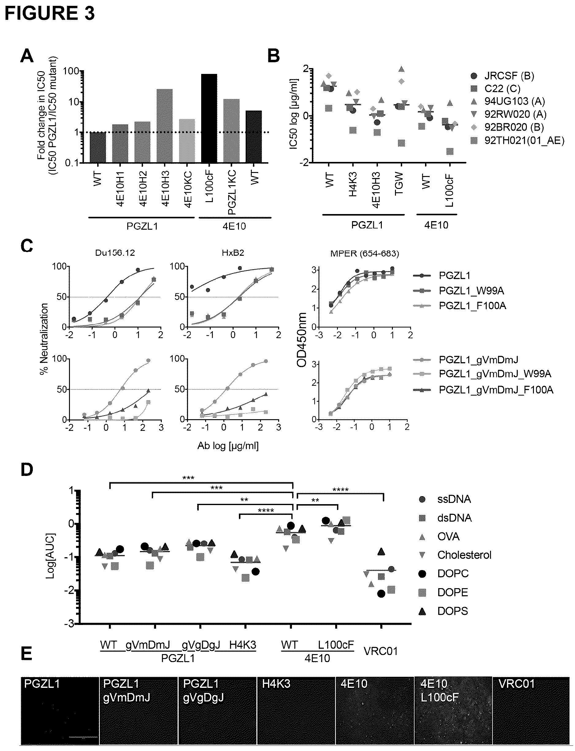 Patent US12617843 Figure 3 – Human broadly neutralizing antibodies against the membrane-proximal external region of HIV Env for vaccine design and intervention