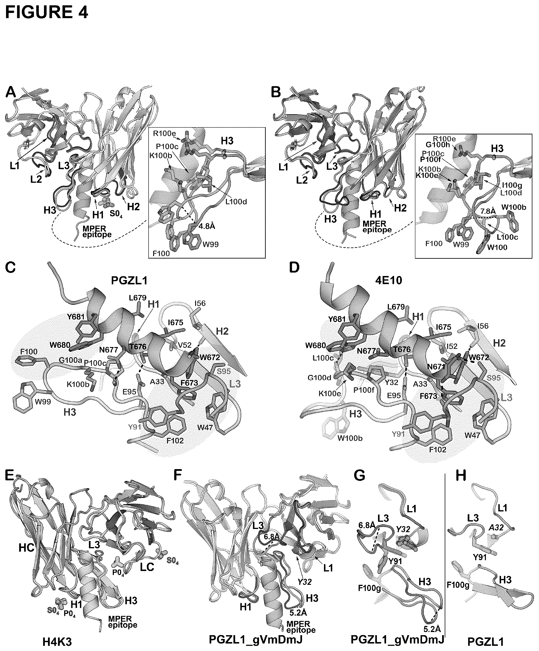 Patent US12617843 Figure 4 – Human broadly neutralizing antibodies against the membrane-proximal external region of HIV Env for vaccine design and intervention