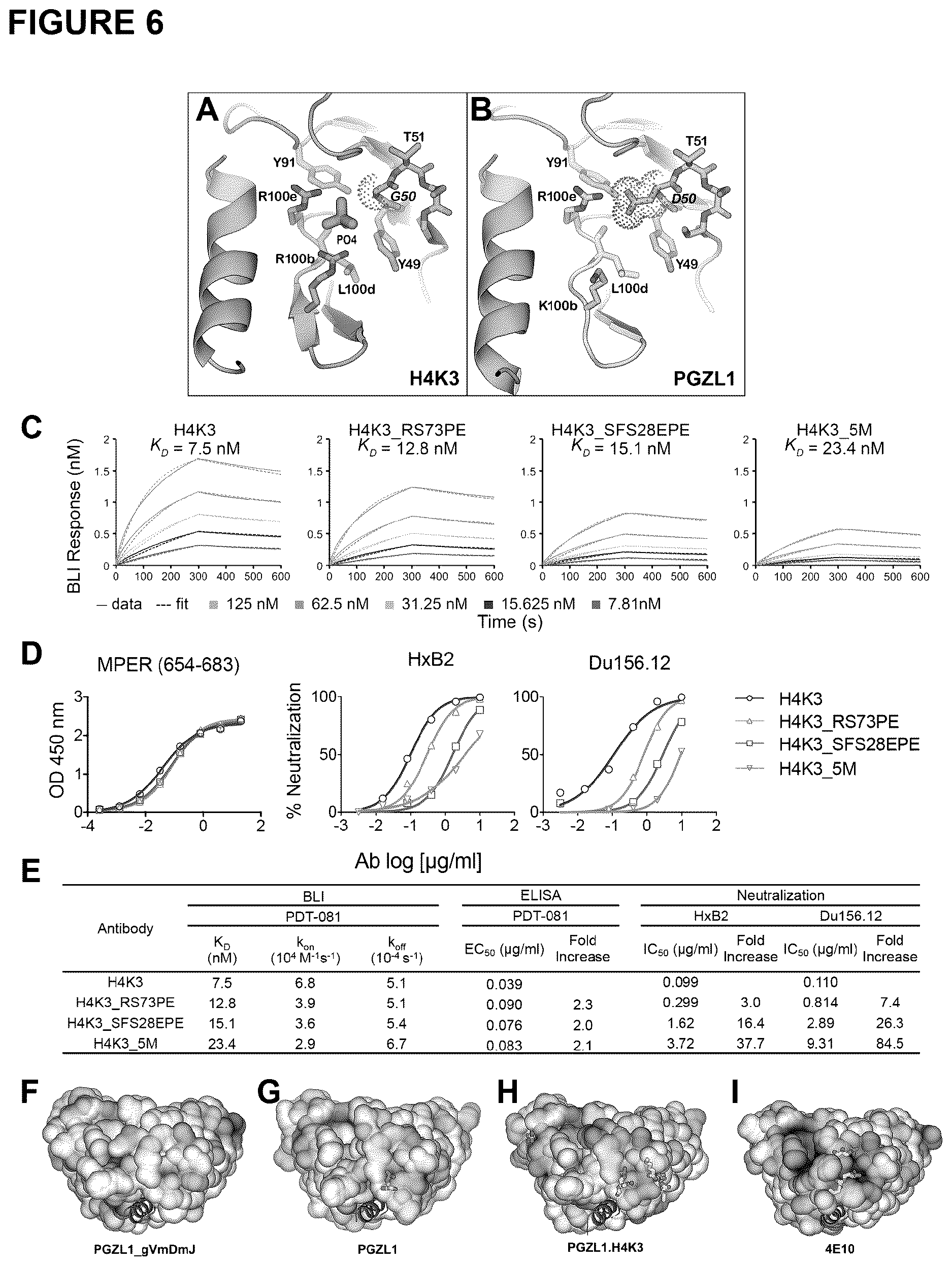 Patent US12617843 Figure 6 – Human broadly neutralizing antibodies against the membrane-proximal external region of HIV Env for vaccine design and intervention