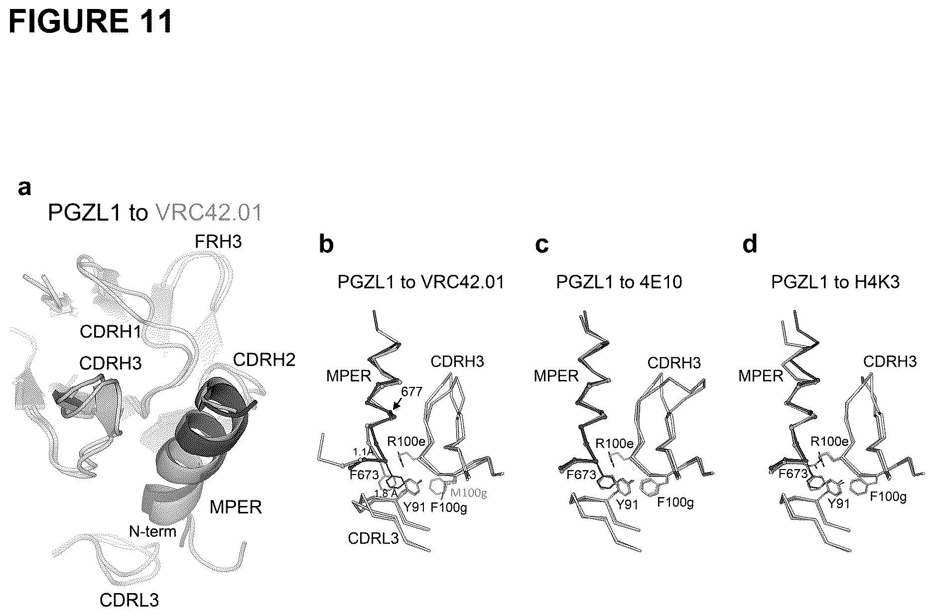 Patent US12617843 Figure 11 – Human broadly neutralizing antibodies against the membrane-proximal external region of HIV Env for vaccine design and intervention