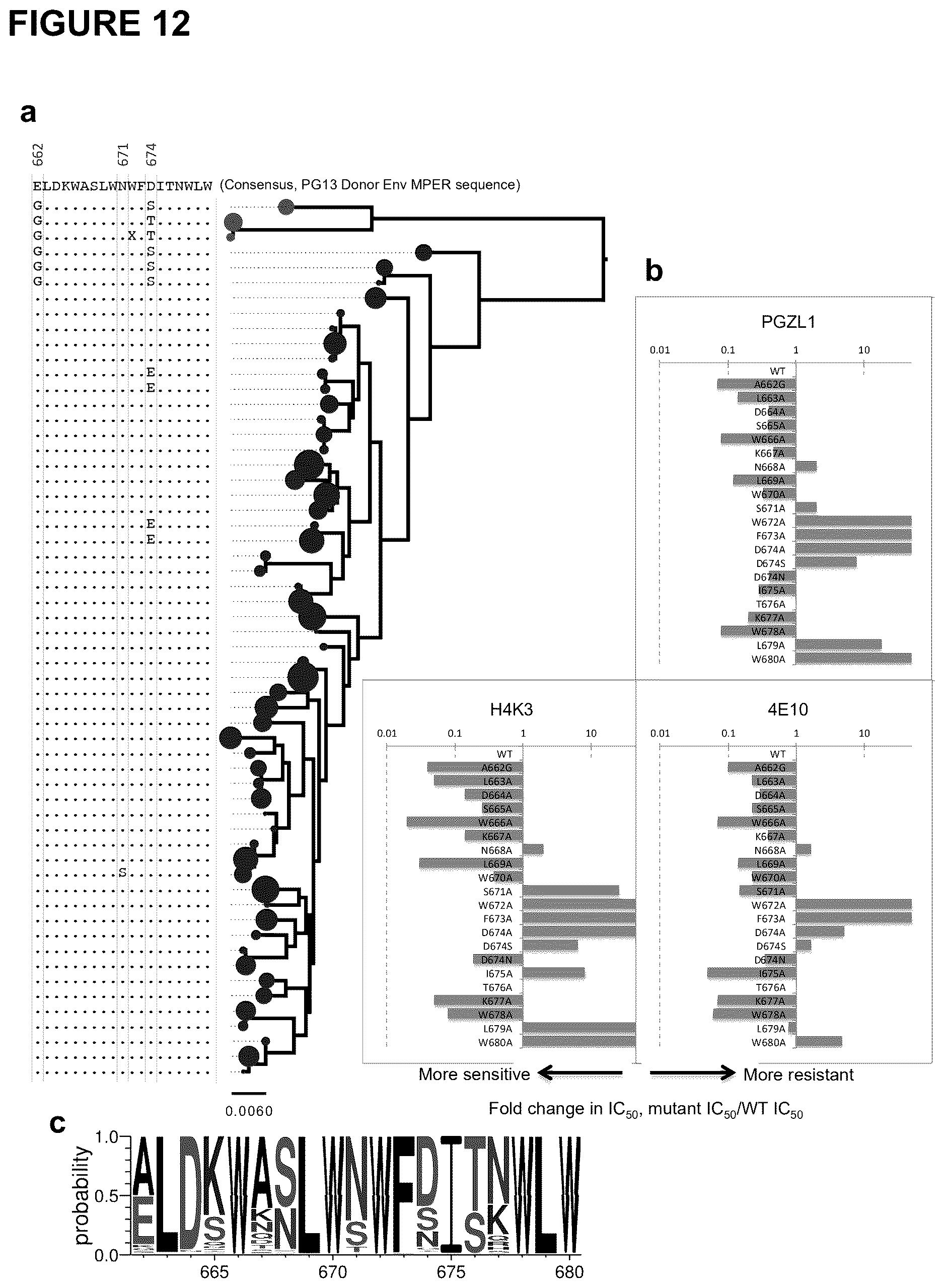 Patent US12617843 Figure 12 – Human broadly neutralizing antibodies against the membrane-proximal external region of HIV Env for vaccine design and intervention