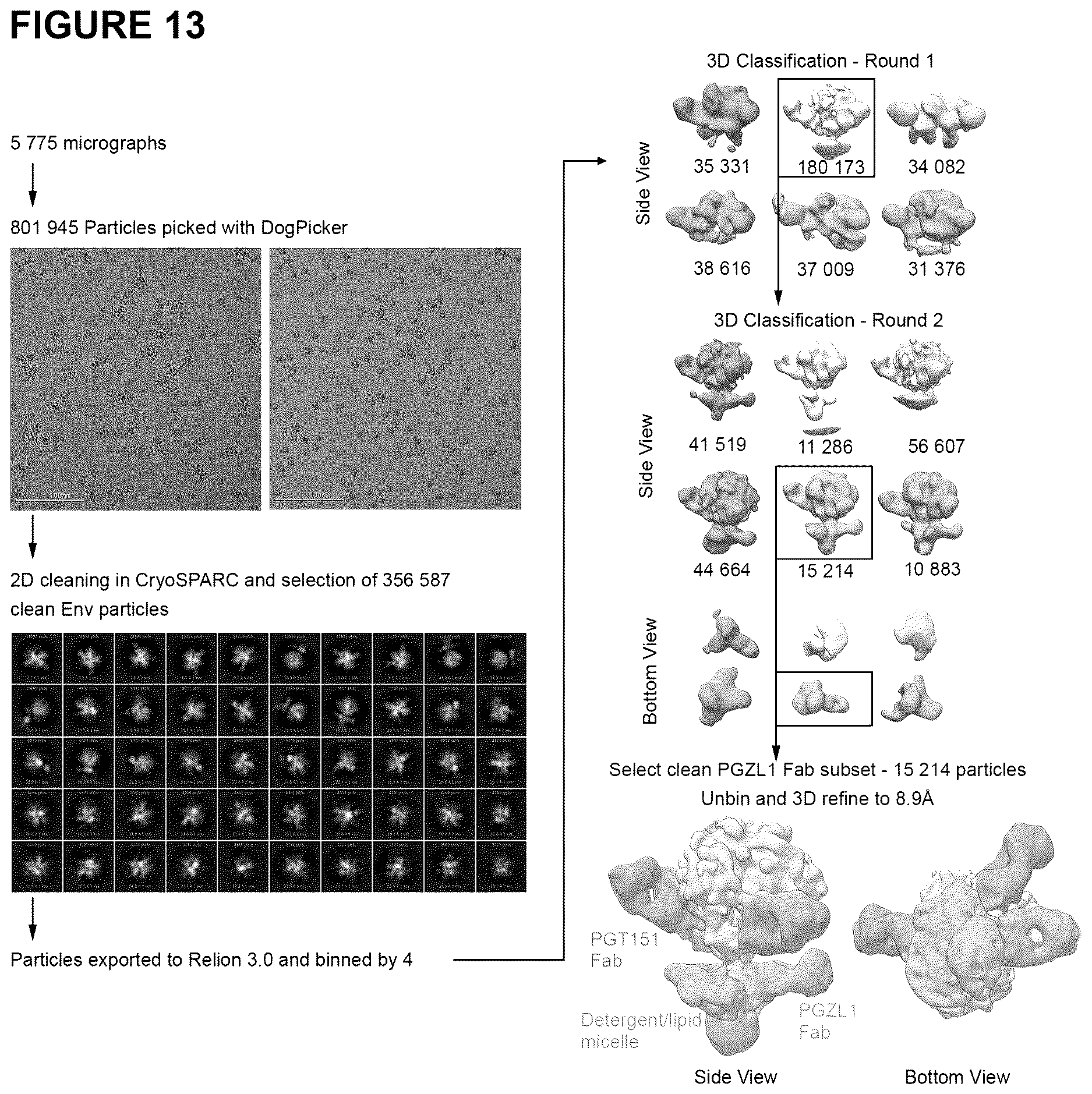 Patent US12617843 Figure 13 – Human broadly neutralizing antibodies against the membrane-proximal external region of HIV Env for vaccine design and intervention