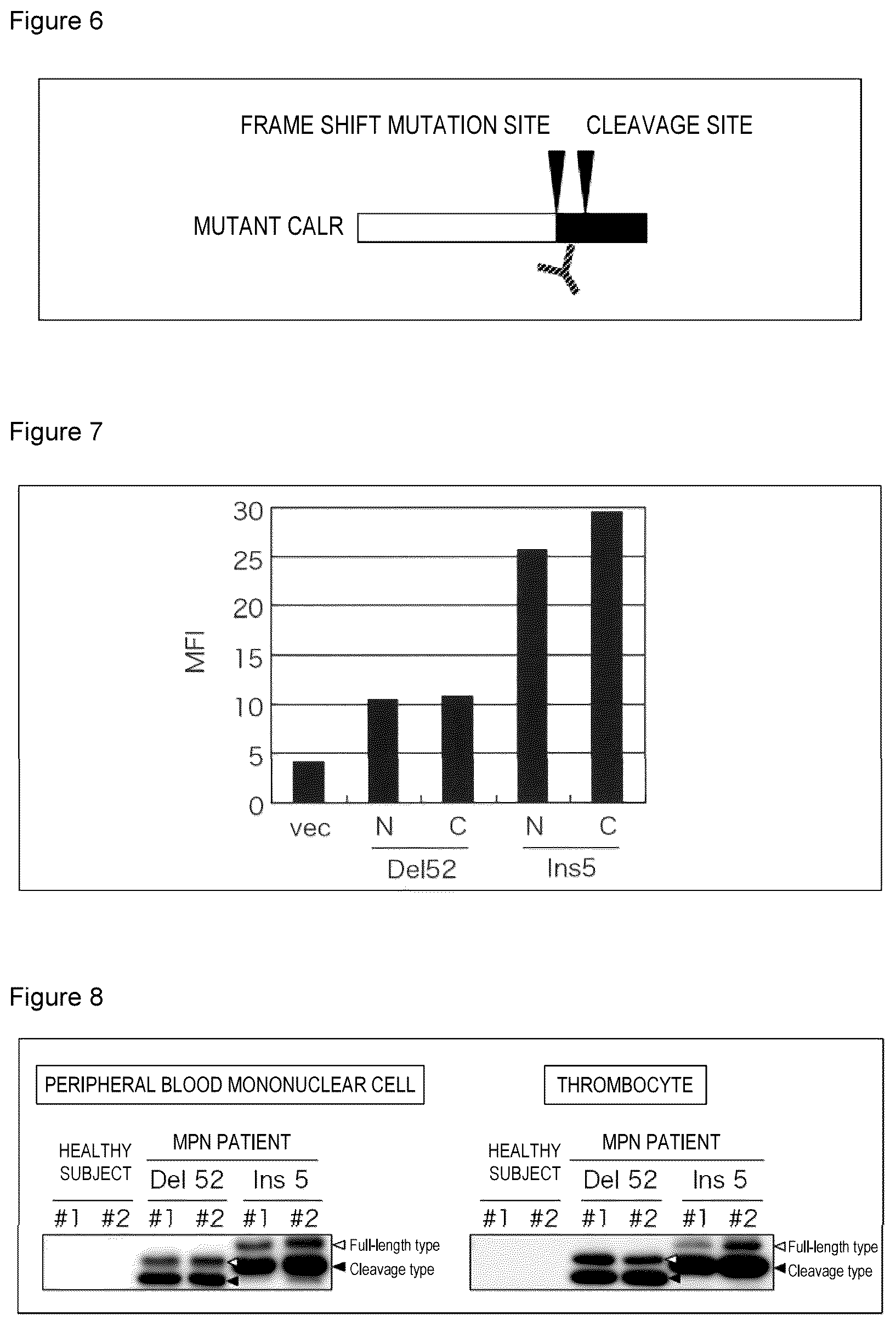 Patent US12617844 Figure 3 – Antibodies that bind to cleaved form of mutant calreticulin, and diagnostic, preventive, or therapeutic agent for myeloproliferative neoplasm