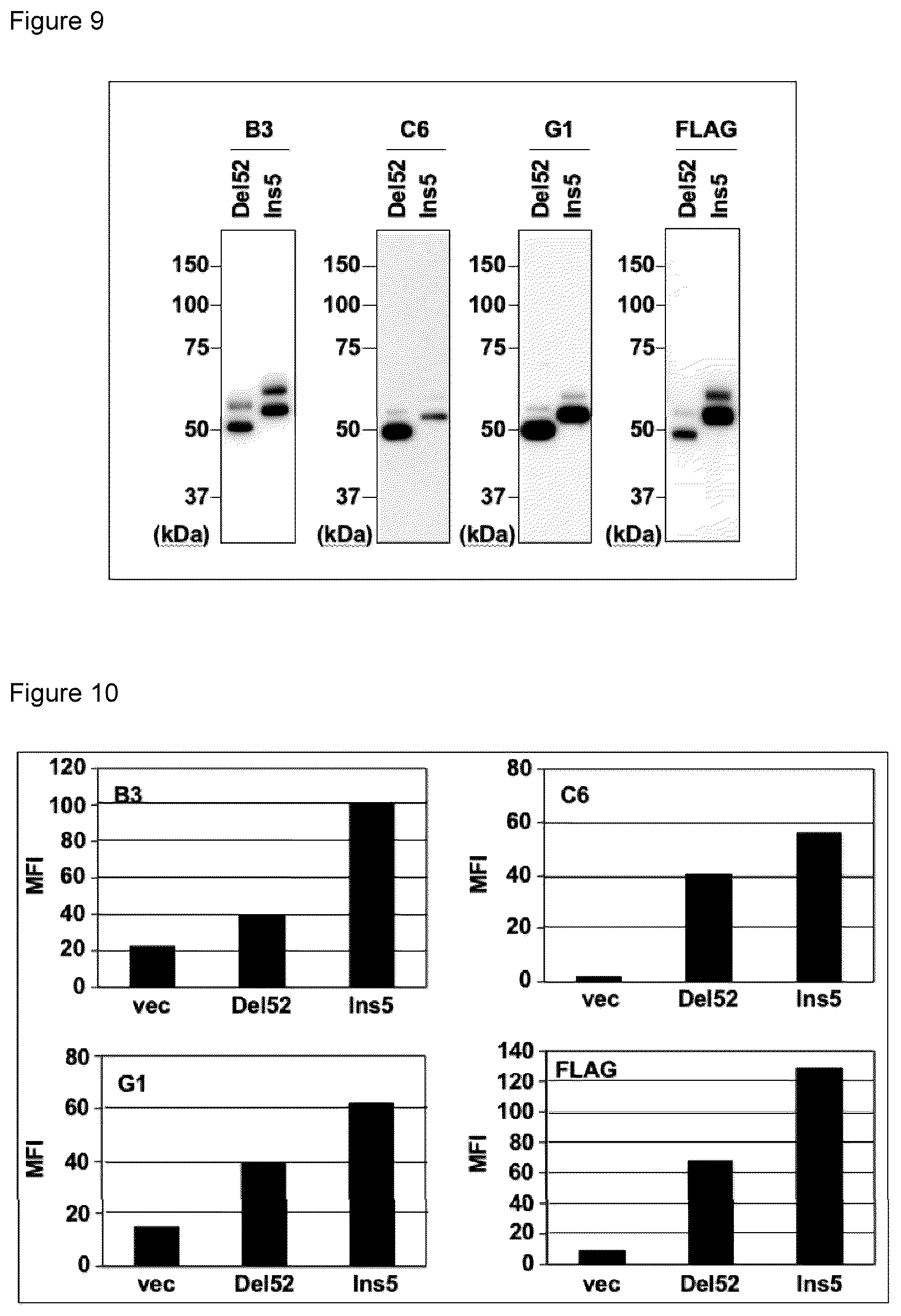 Patent US12617844 Figure 4 – Antibodies that bind to cleaved form of mutant calreticulin, and diagnostic, preventive, or therapeutic agent for myeloproliferative neoplasm
