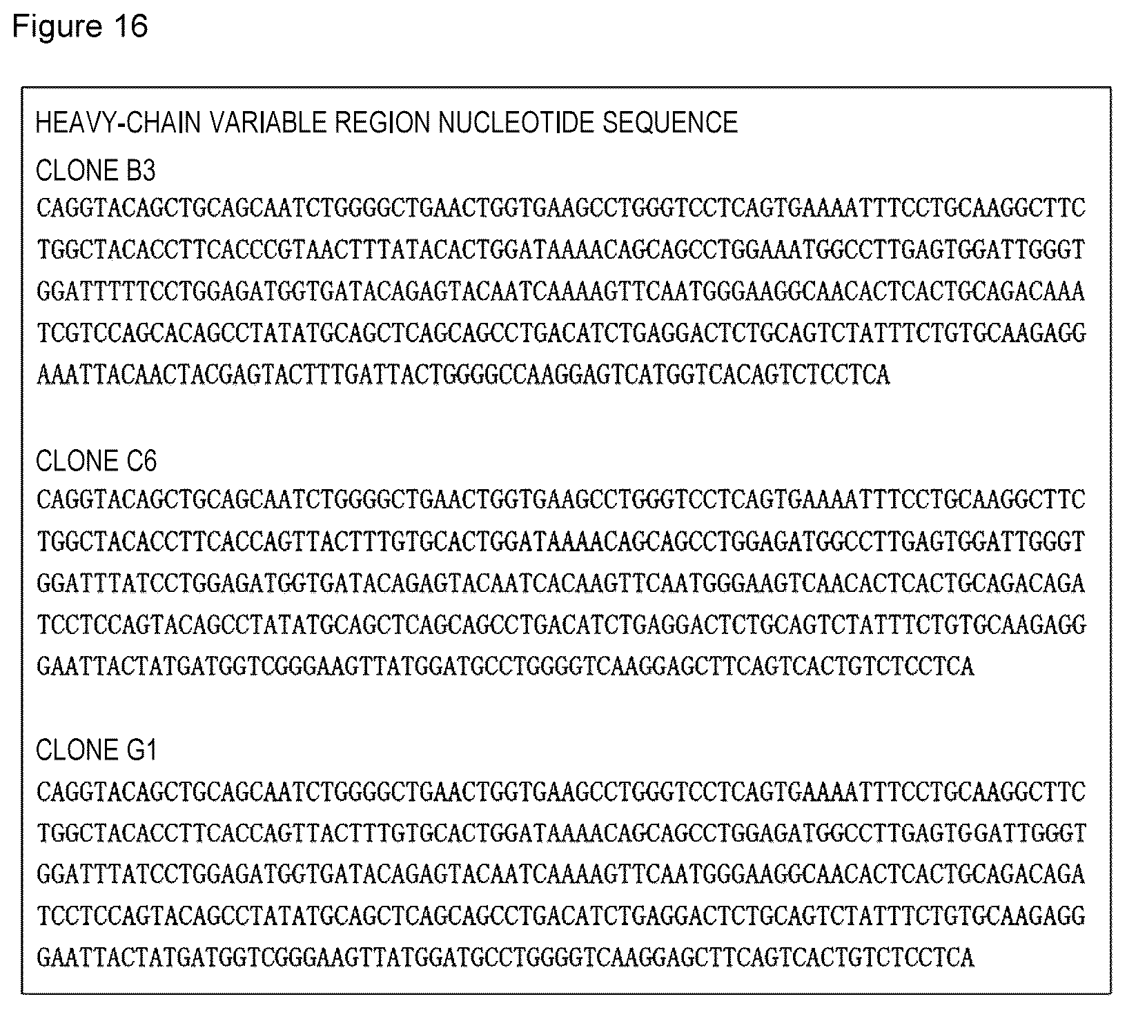 Patent US12617844 Figure 8 – Antibodies that bind to cleaved form of mutant calreticulin, and diagnostic, preventive, or therapeutic agent for myeloproliferative neoplasm