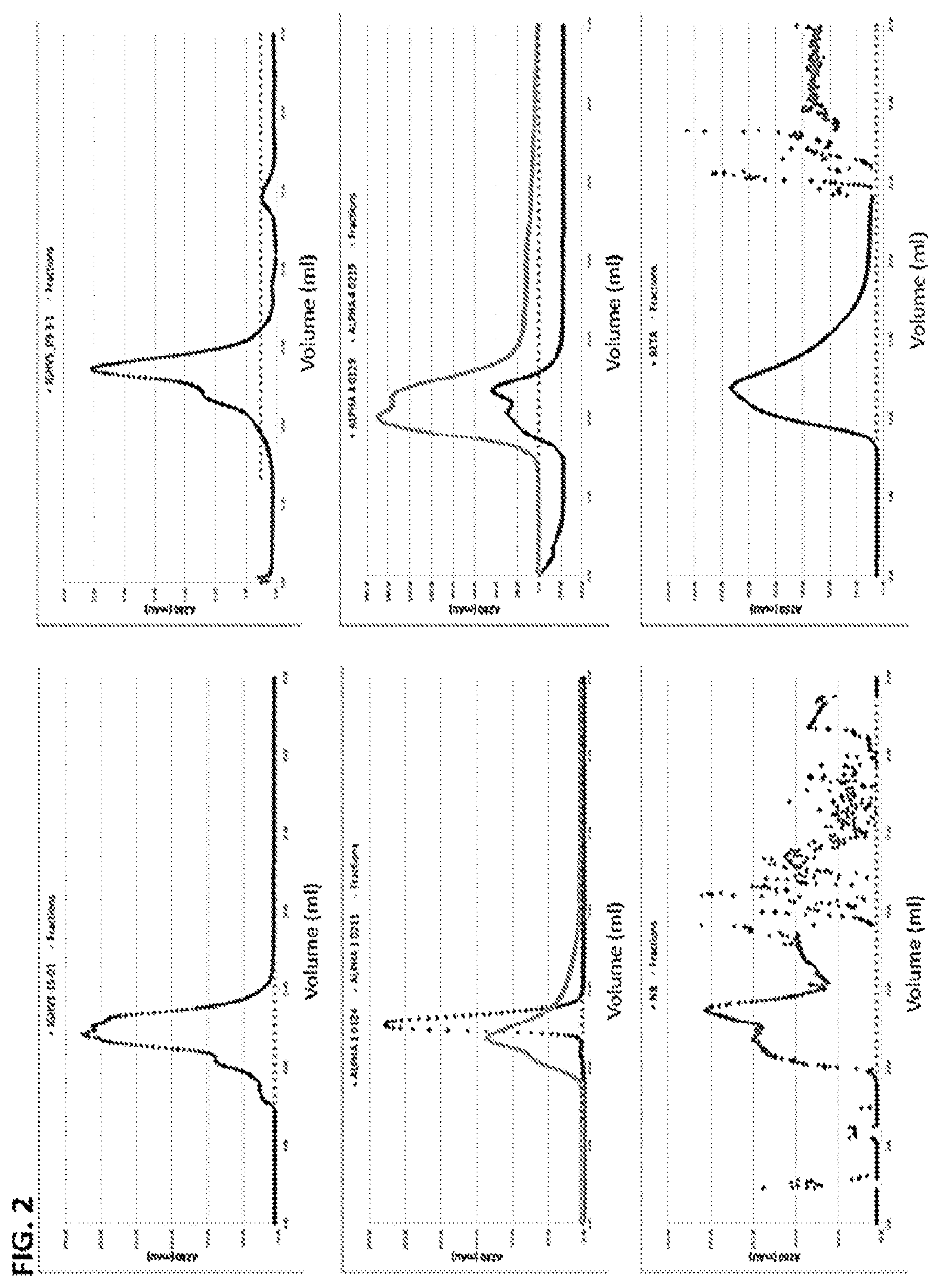 Patent US12617845 Figure 2 – SMC1A antibodies and uses thereof