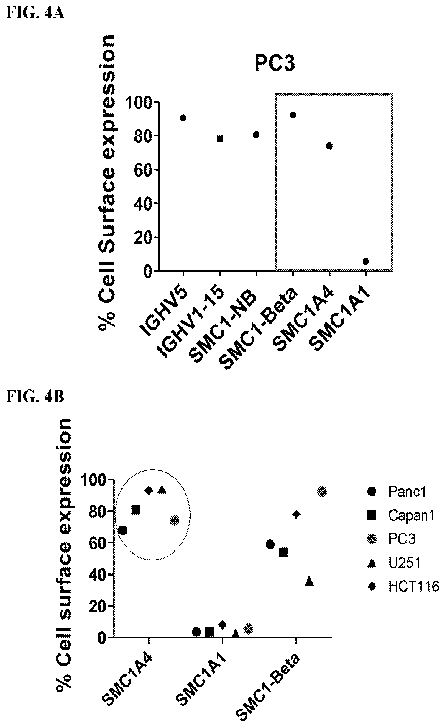 Patent US12617845 Figure 4 – SMC1A antibodies and uses thereof