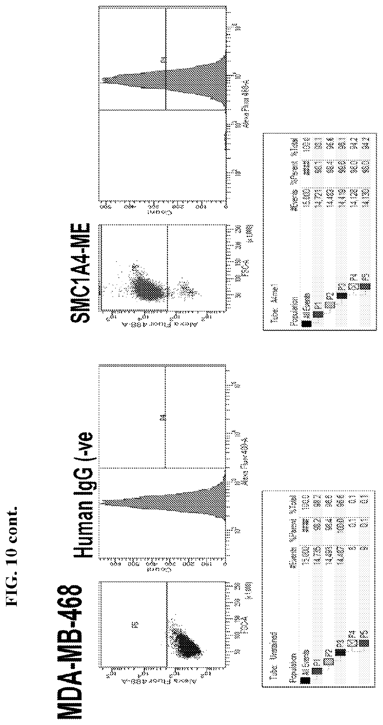 Patent US12617845 Figure 16 – SMC1A antibodies and uses thereof
