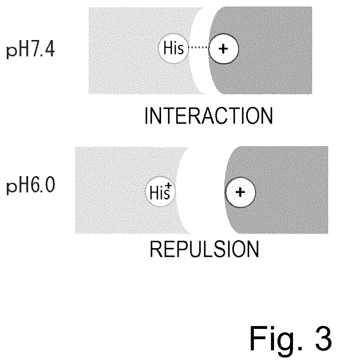Patent US12617847 Figure 3 – Antigen-binding molecule capable of binding to plurality of antigen molecules repeatedly