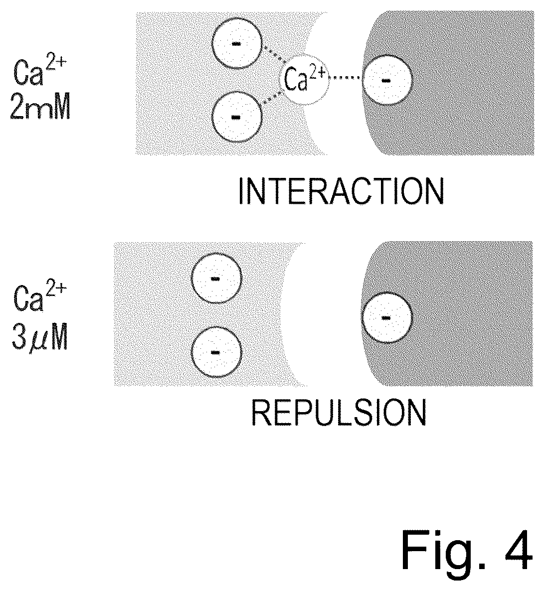 Patent US12617847 Figure 4 – Antigen-binding molecule capable of binding to plurality of antigen molecules repeatedly