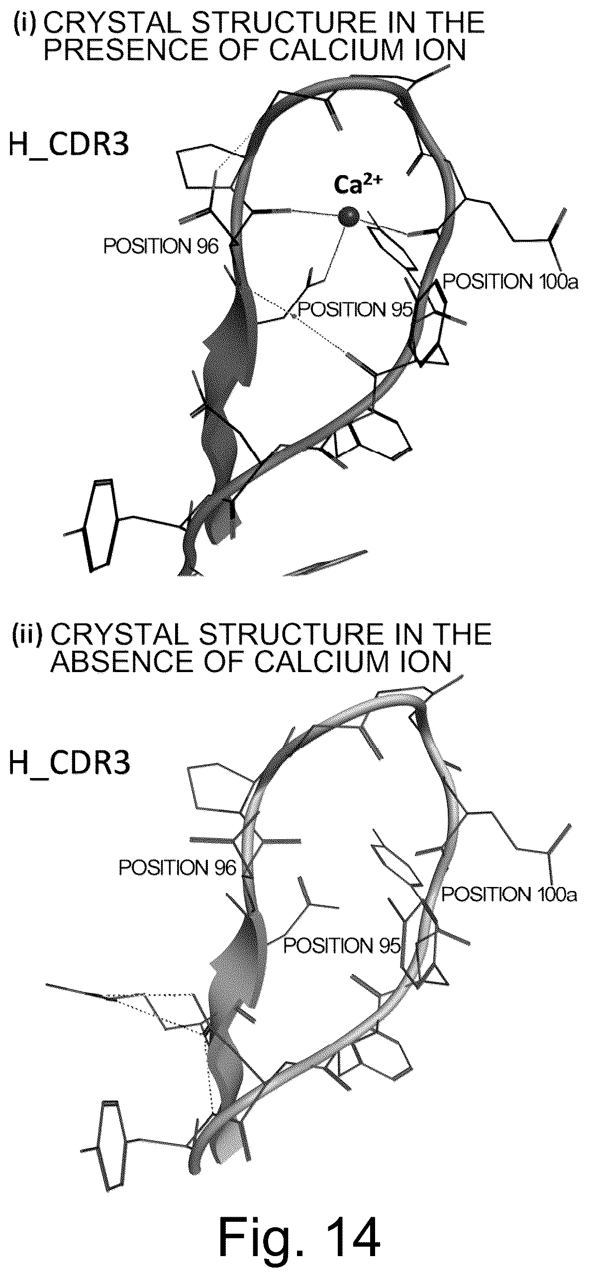Patent US12617847 Figure 14 – Antigen-binding molecule capable of binding to plurality of antigen molecules repeatedly