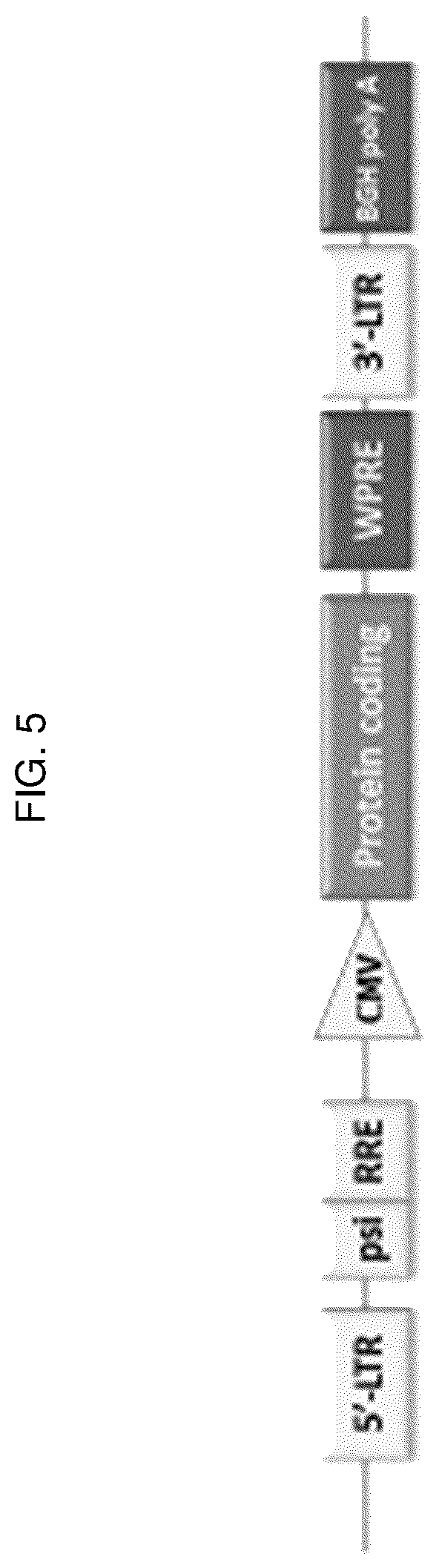 Patent US12617848 Figure 6 – Methods of treating ocular pathologies using bifunctional molecules that target growth factors