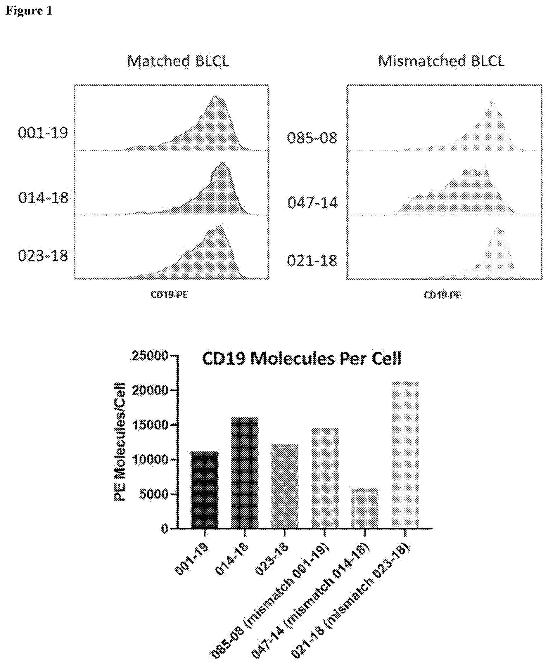 Patent US12617849 Figure 1 – Antigen specific CD19-targeted CAR-T cells