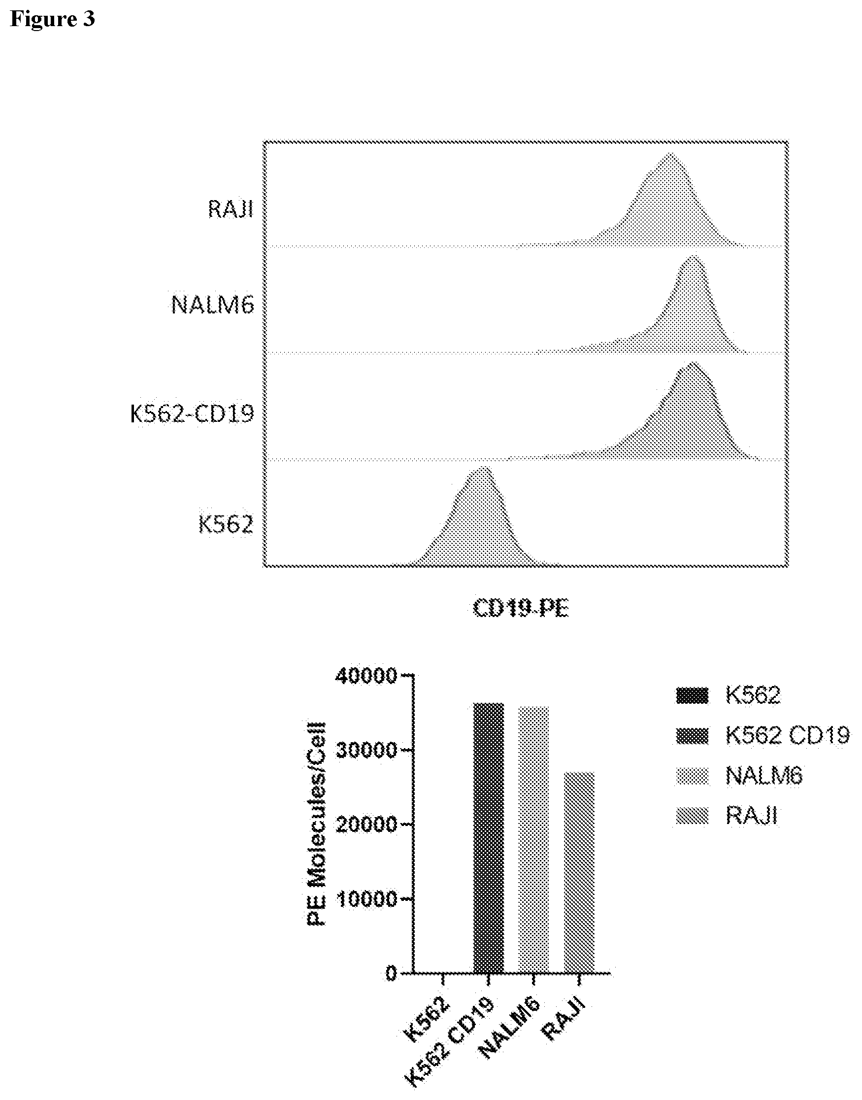 Patent US12617849 Figure 3 – Antigen specific CD19-targeted CAR-T cells