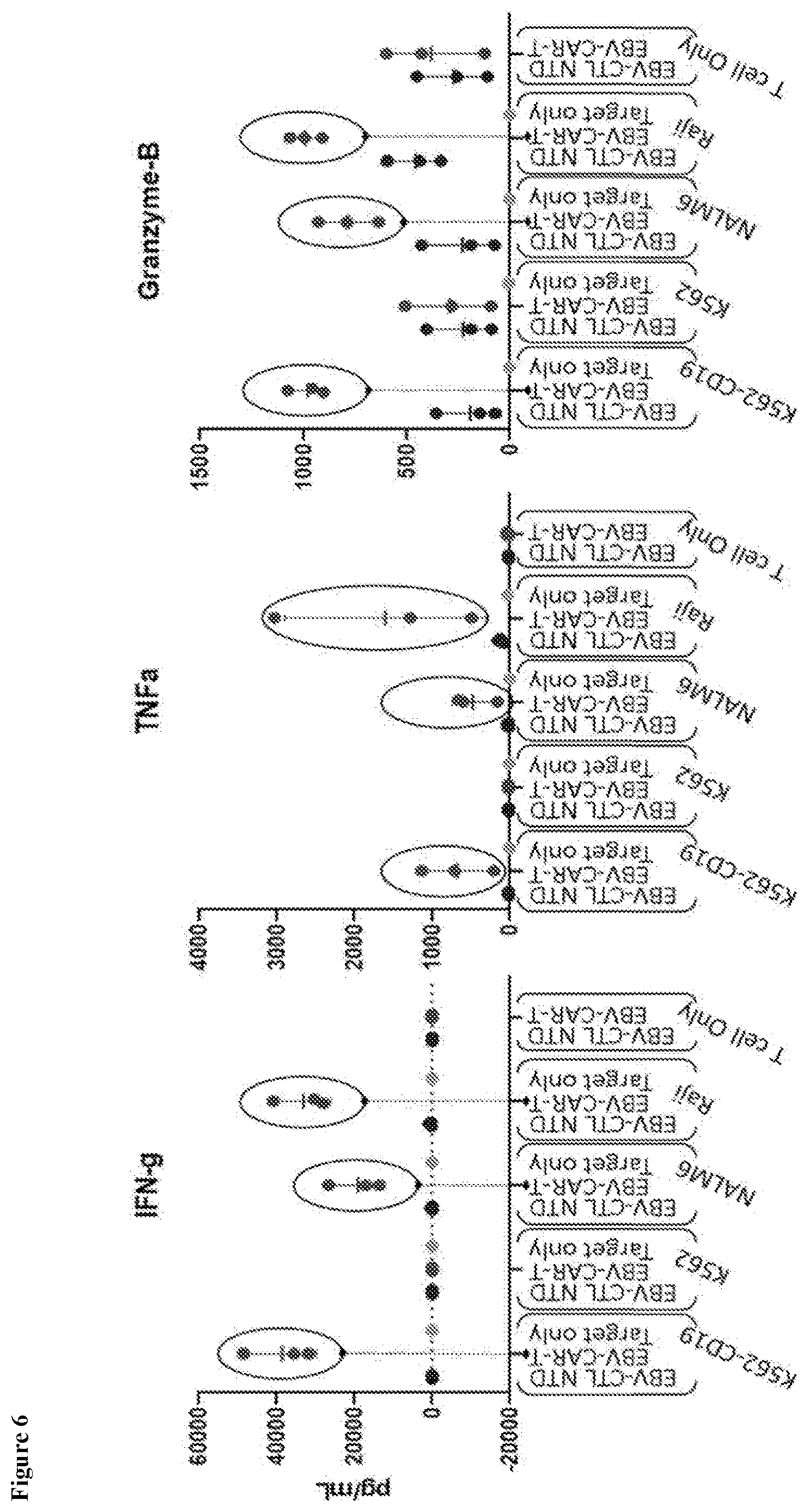 Patent US12617849 Figure 6 – Antigen specific CD19-targeted CAR-T cells
