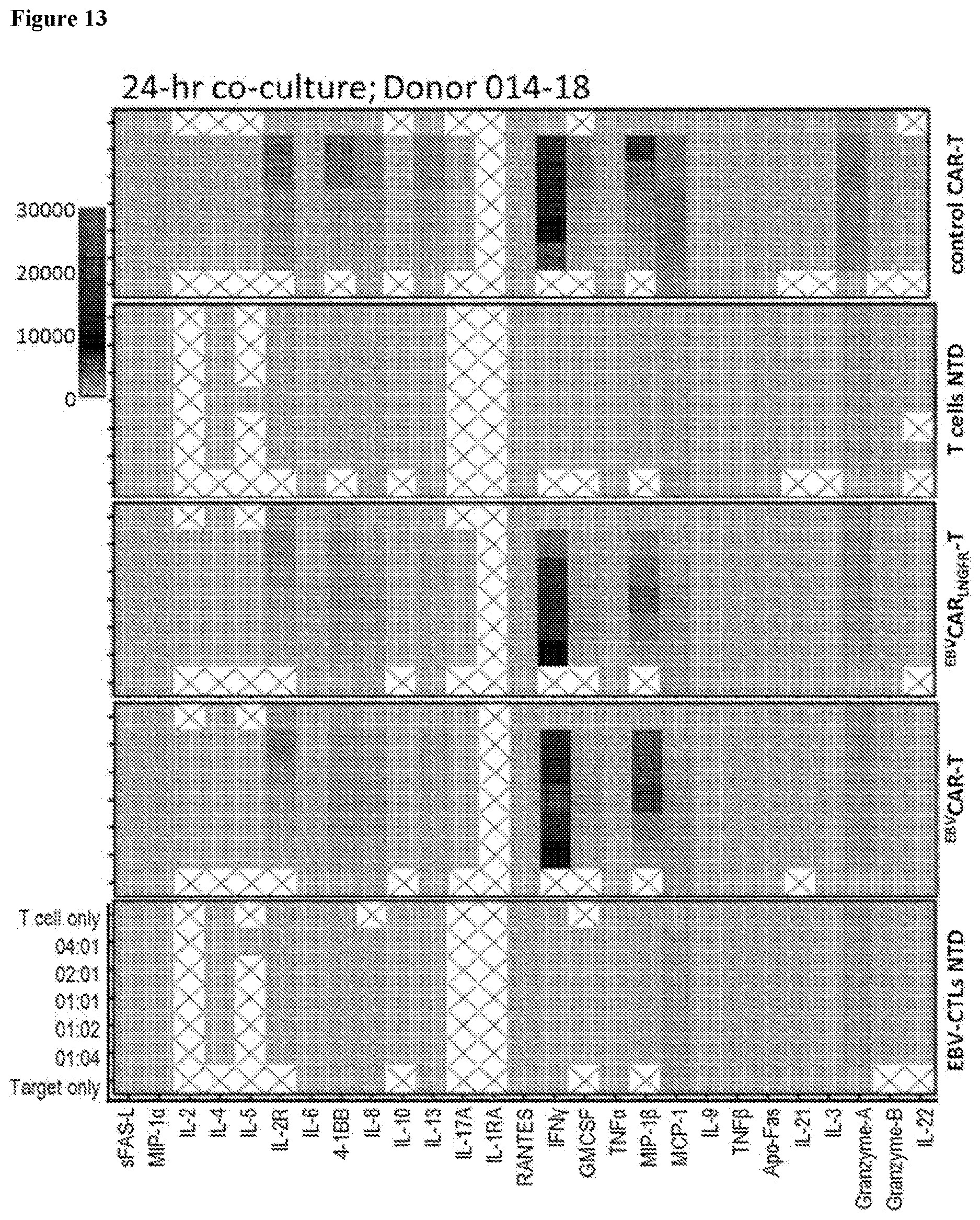 Patent US12617849 Figure 13 – Antigen specific CD19-targeted CAR-T cells