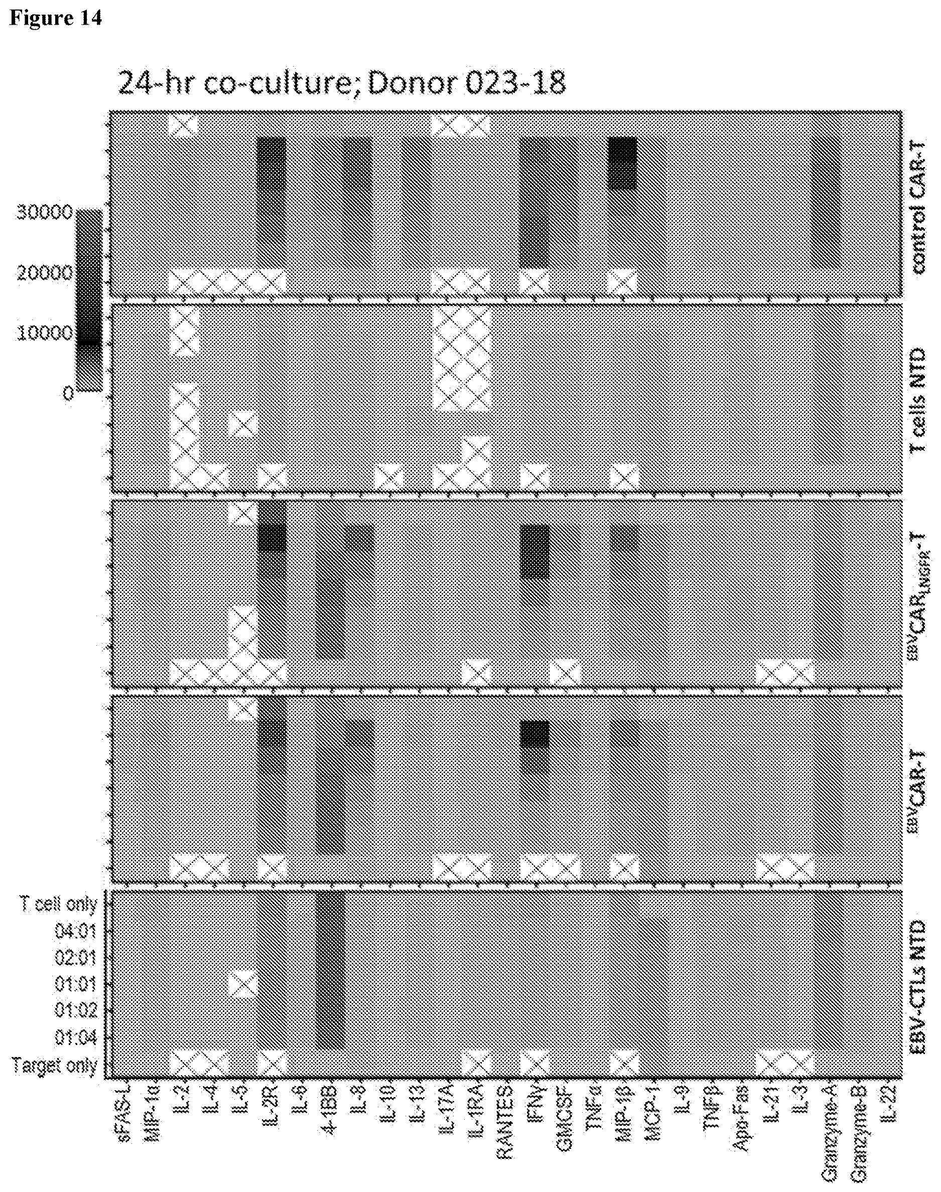 Patent US12617849 Figure 14 – Antigen specific CD19-targeted CAR-T cells