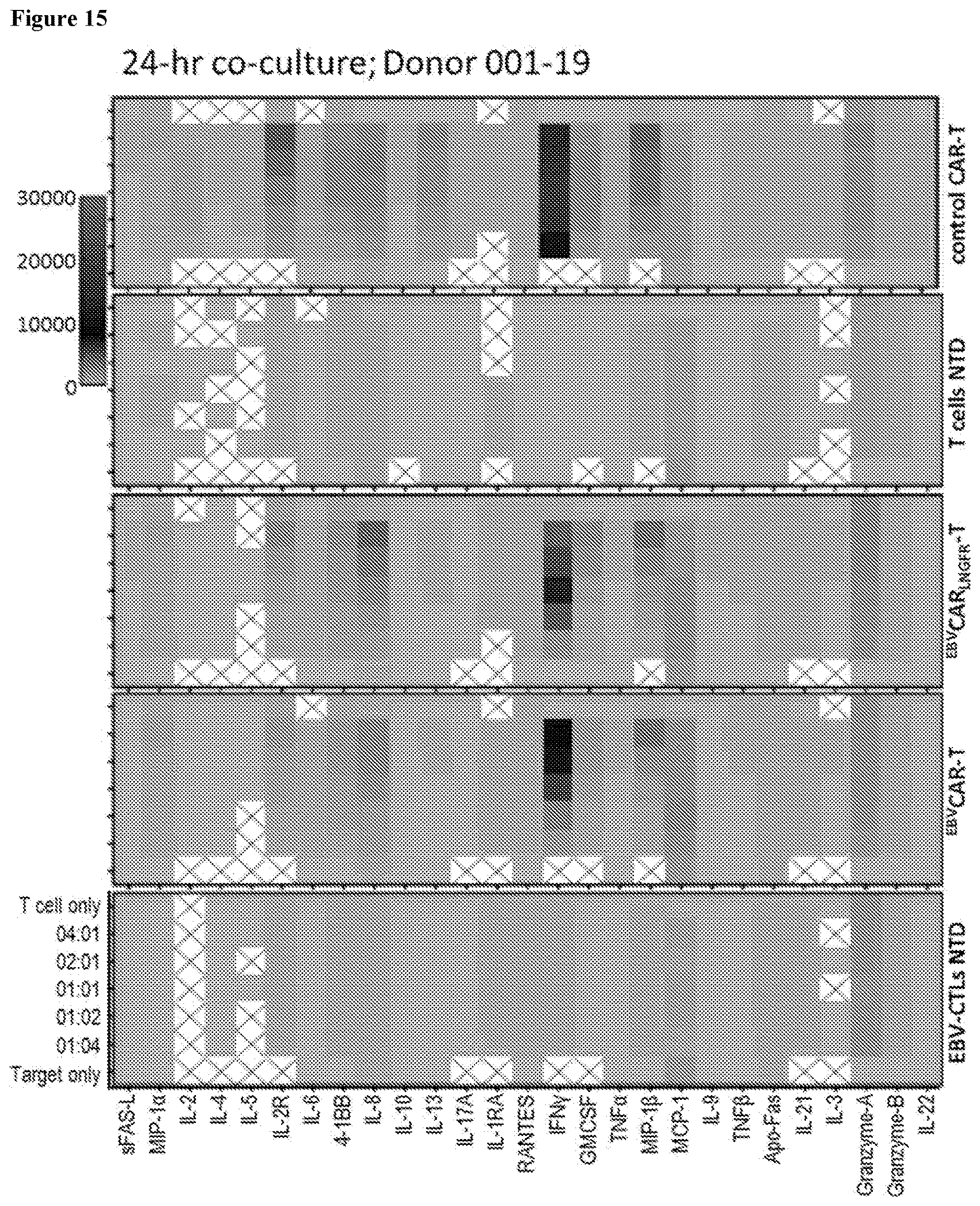 Patent US12617849 Figure 15 – Antigen specific CD19-targeted CAR-T cells