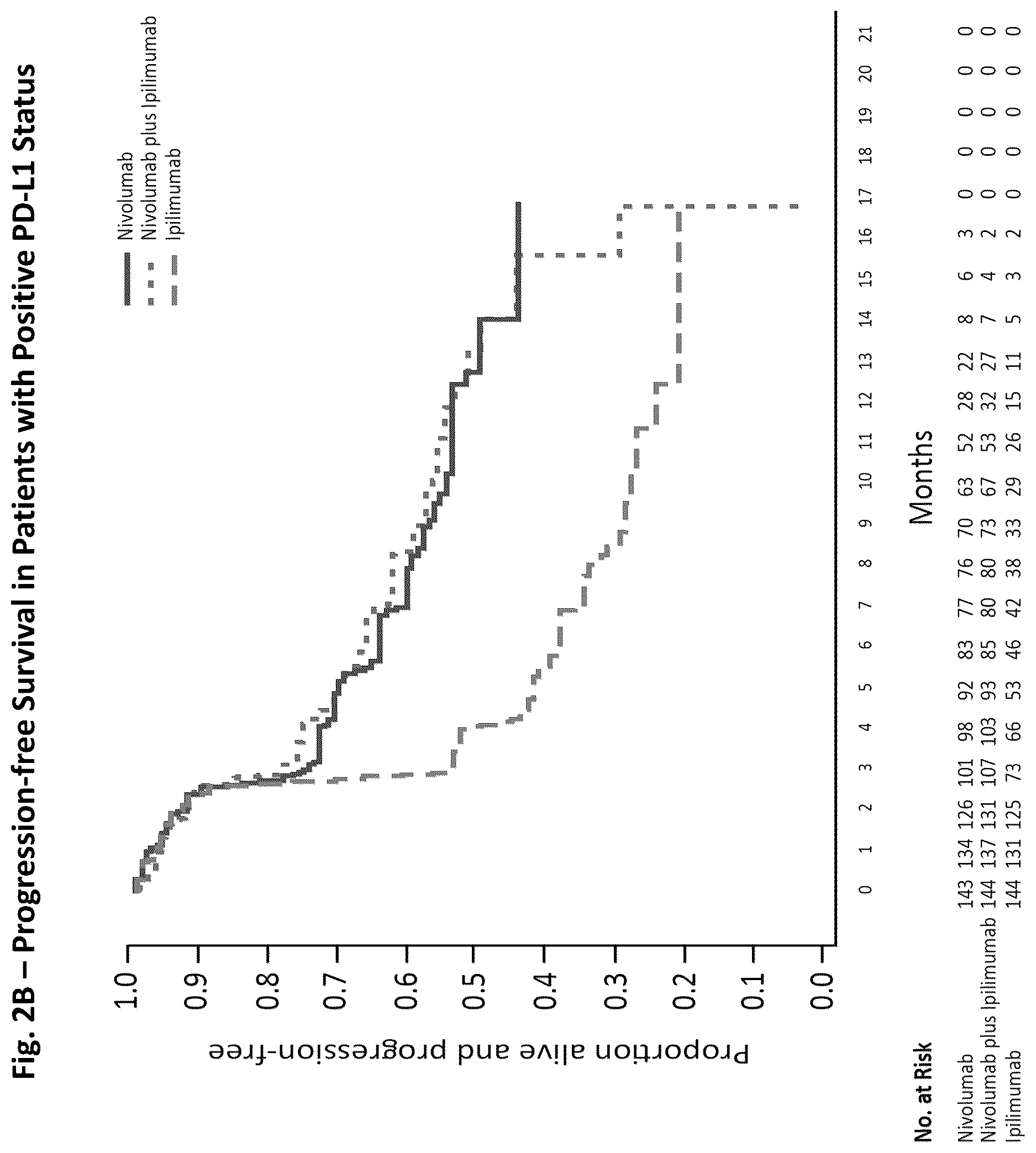 Patent US12617850 Figure 3 – Treatment of PD-L1-positive melanoma using an anti-PD-1 antibody