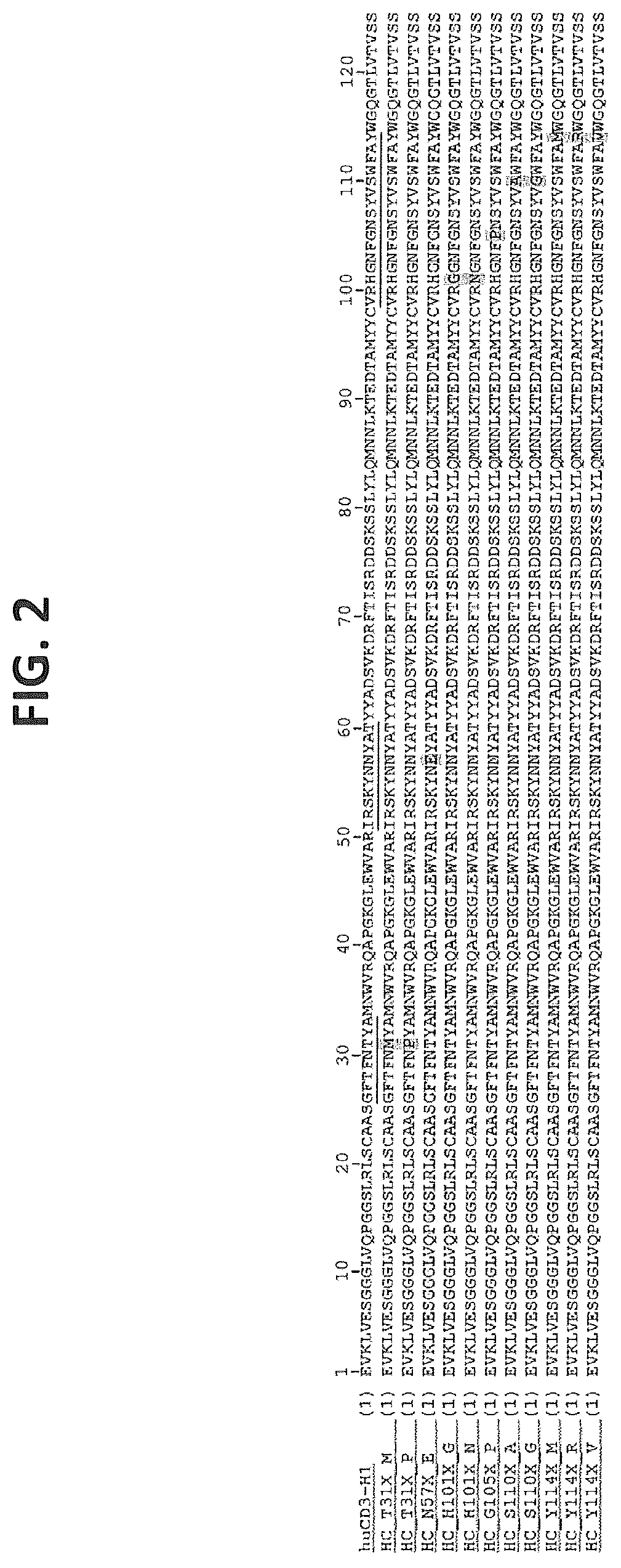 Patent US12617854 Figure 2 – Humanized or chimeric CD3 antibodies