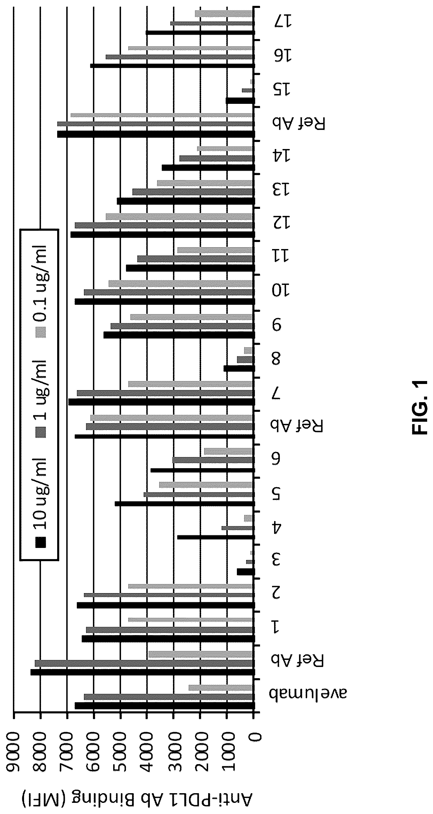 Patent US12617855 Figure 1 – Anti-PD-L1 antibodies