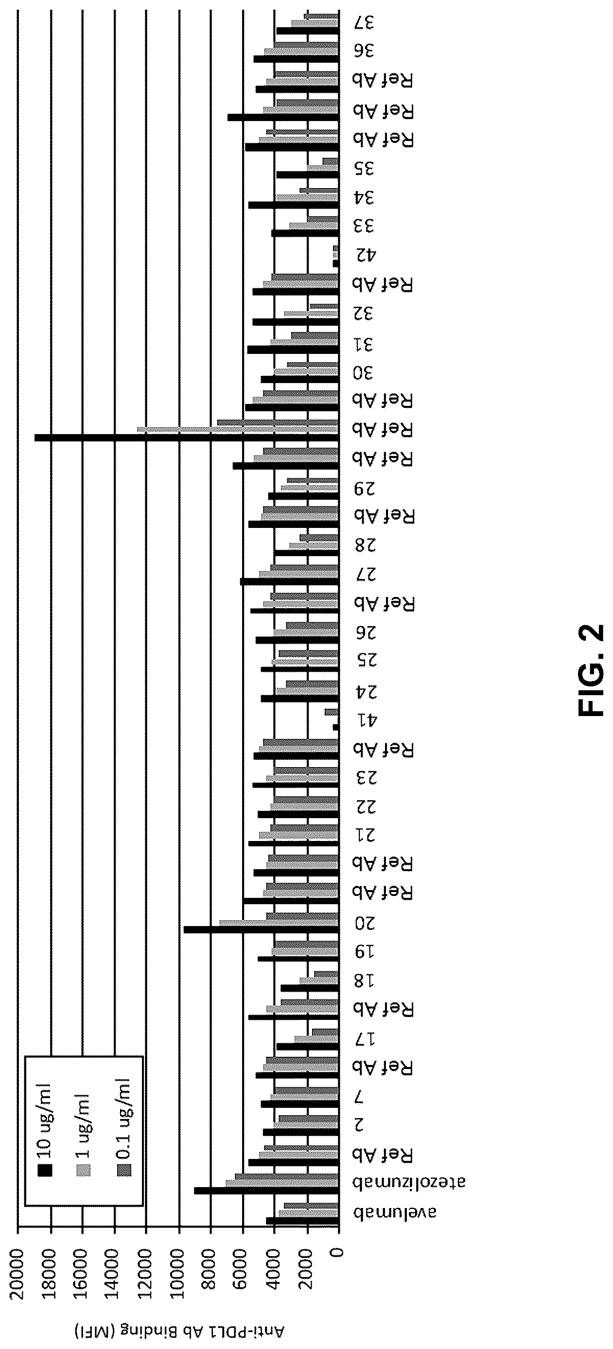 Patent US12617855 Figure 2 – Anti-PD-L1 antibodies