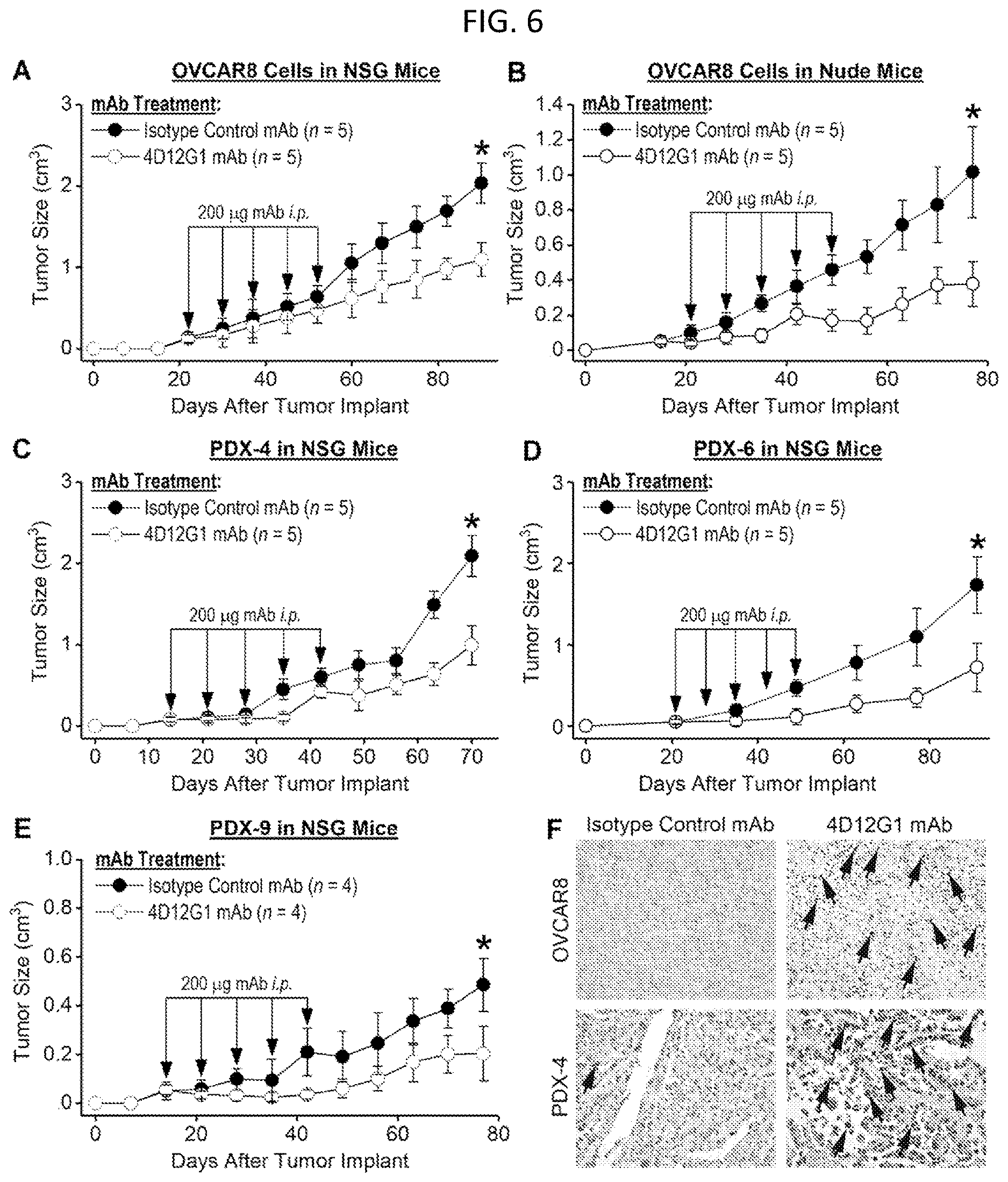 Patent US12617858 Figure 6 – Anti-Müllerian hormone receptor 2 antibodies and methods of use