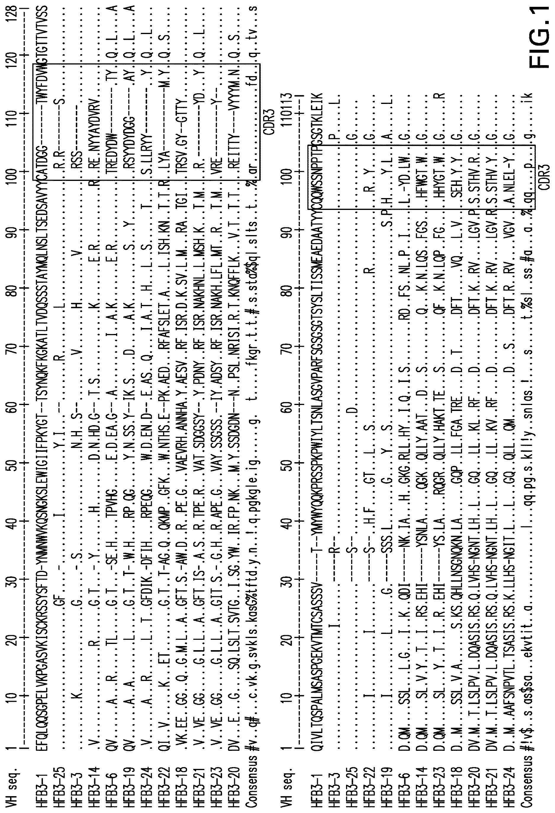 Patent US12617860 Figure 1 – Anti-TNFR2 antibody and uses thereof