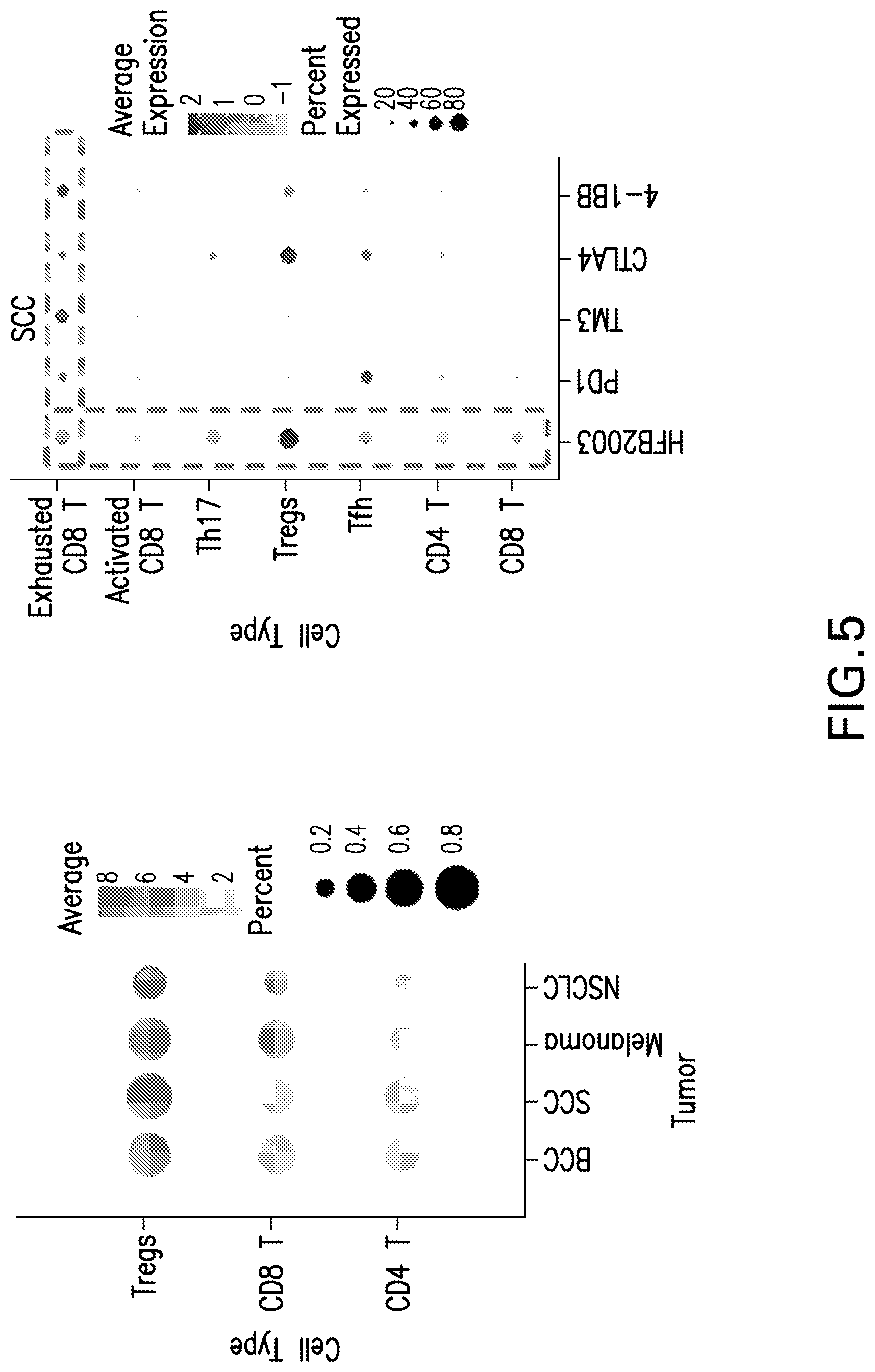 Patent US12617860 Figure 7 – Anti-TNFR2 antibody and uses thereof