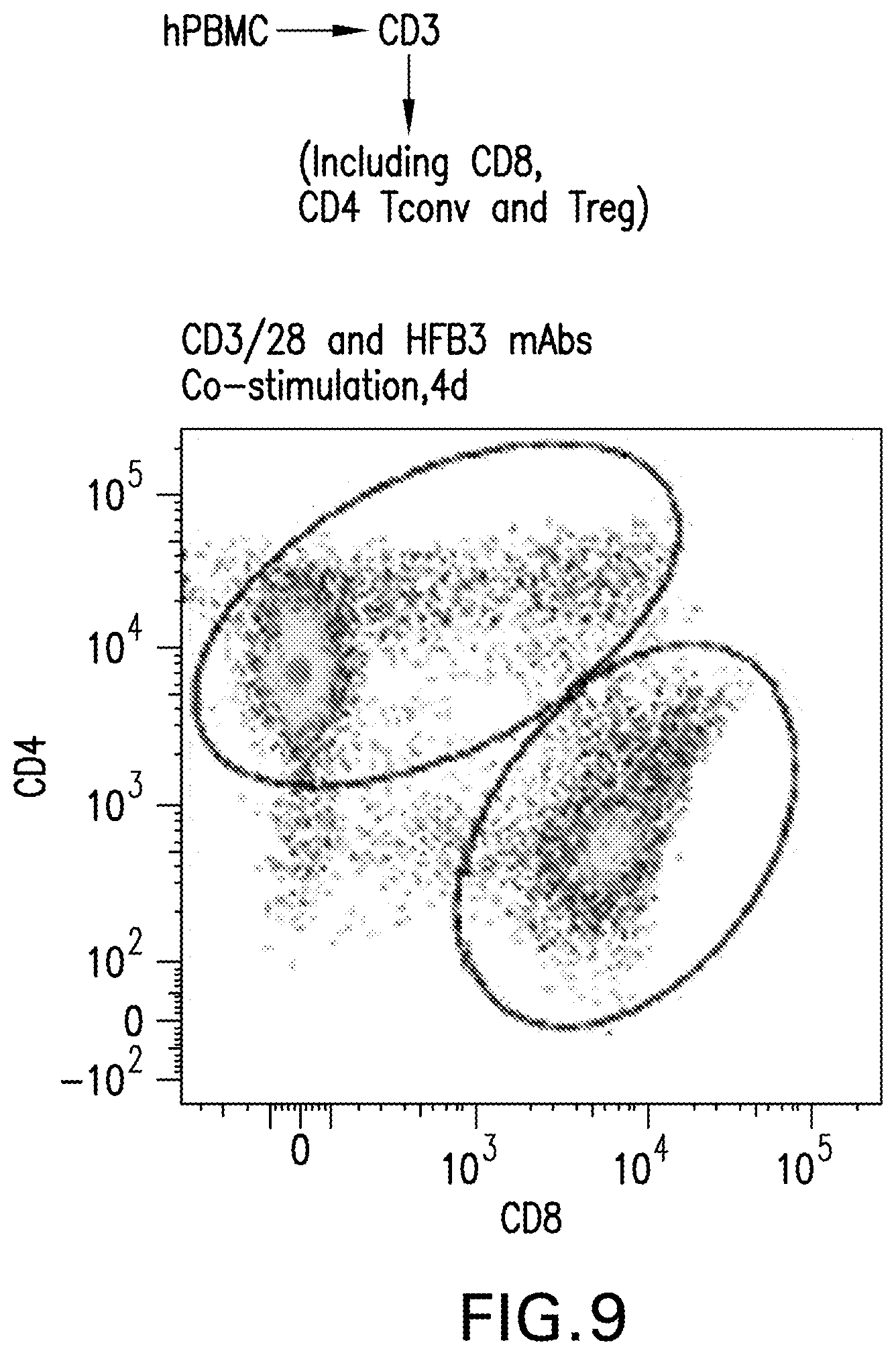 Patent US12617860 Figure 12 – Anti-TNFR2 antibody and uses thereof