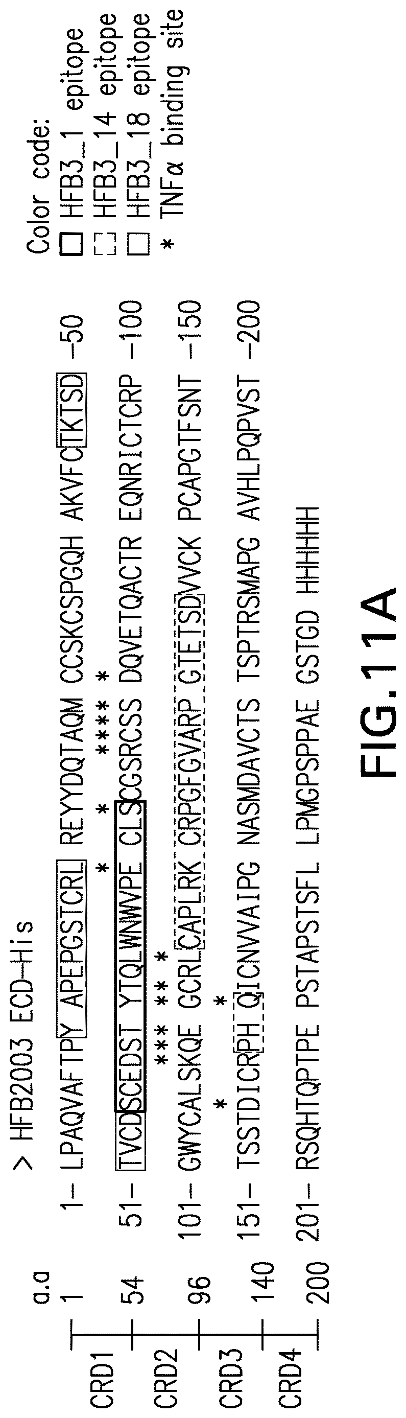 Patent US12617860 Figure 15 – Anti-TNFR2 antibody and uses thereof