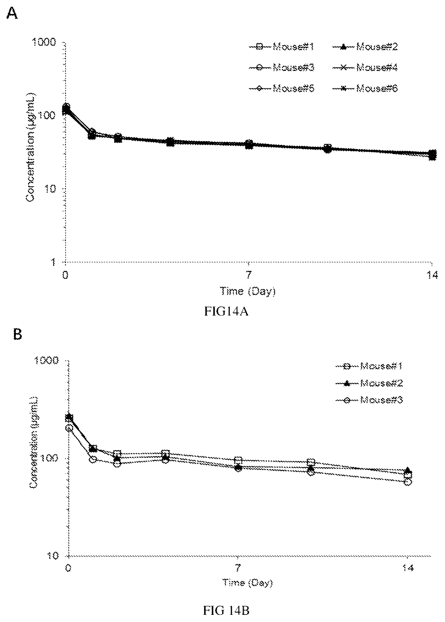 Patent US12617862 Figure 12 – Anti-CD73 antibody and application thereof