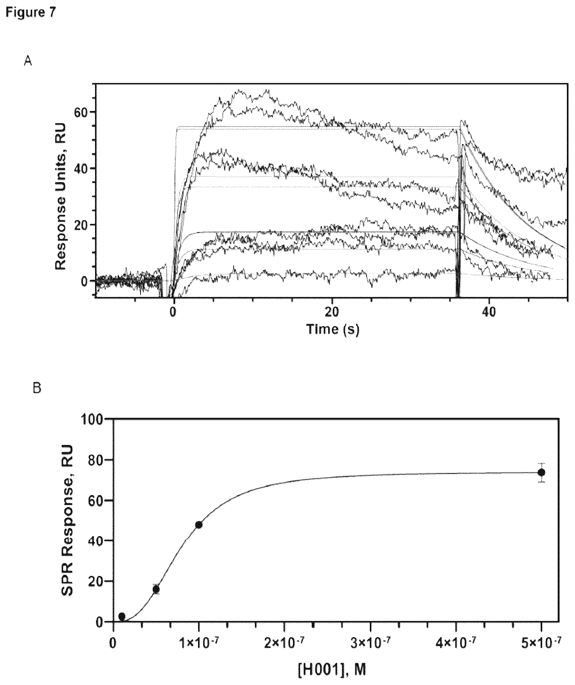 Patent US12617863 Figure 6 – Humanized anti-glycoprotein Ib alpha (GPIbalpha) antibodies