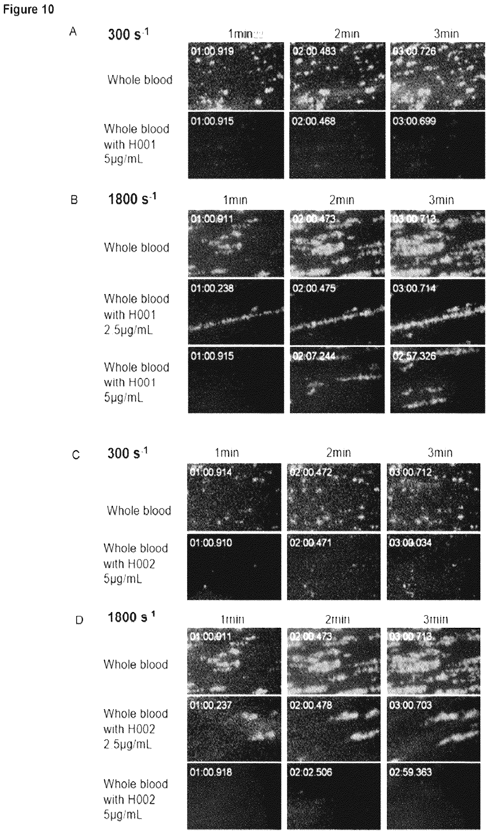 Patent US12617863 Figure 10 – Humanized anti-glycoprotein Ib alpha (GPIbalpha) antibodies