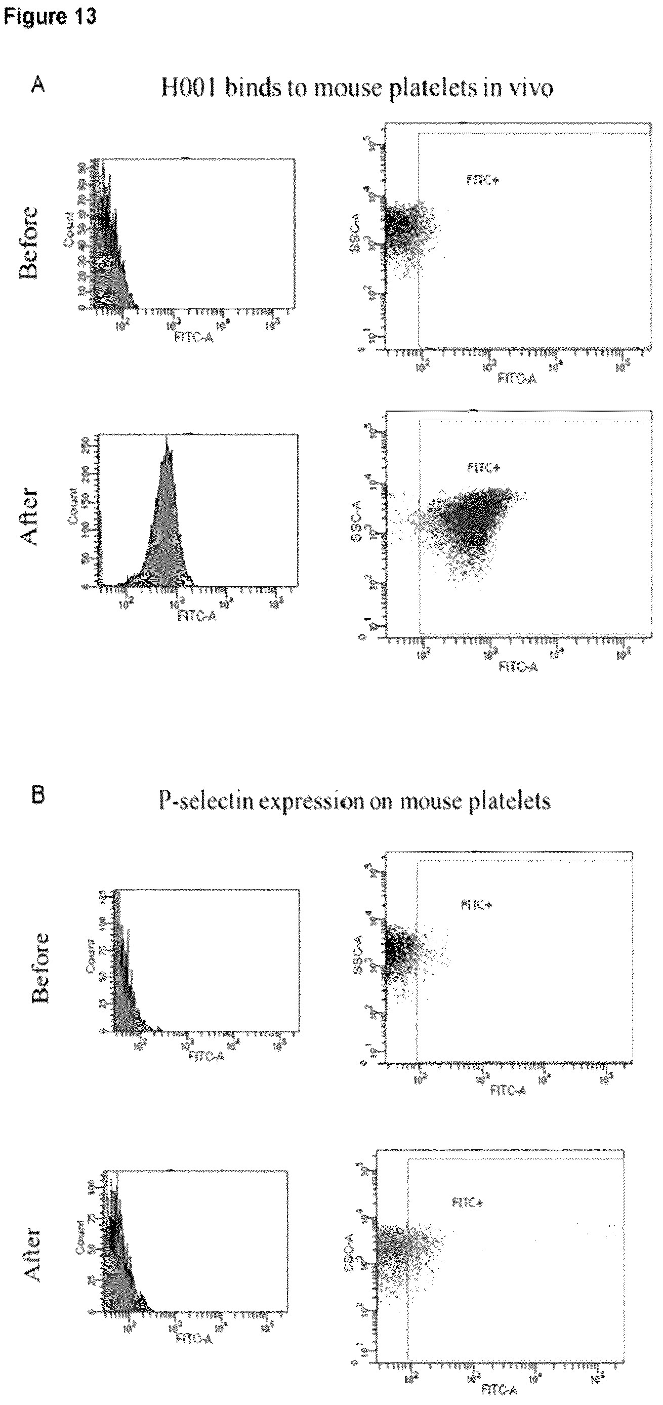 Patent US12617863 Figure 13 – Humanized anti-glycoprotein Ib alpha (GPIbalpha) antibodies