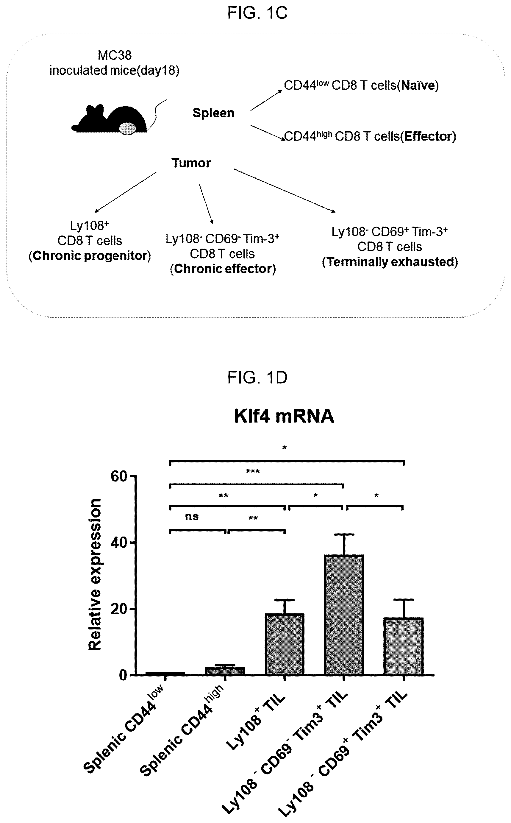 Patent US12617864 Figure 2 – Methods of activating and proliferating exhausted CD8 T cells, CD8 T cells with enhanced activity prepared by the same, and uses thereof