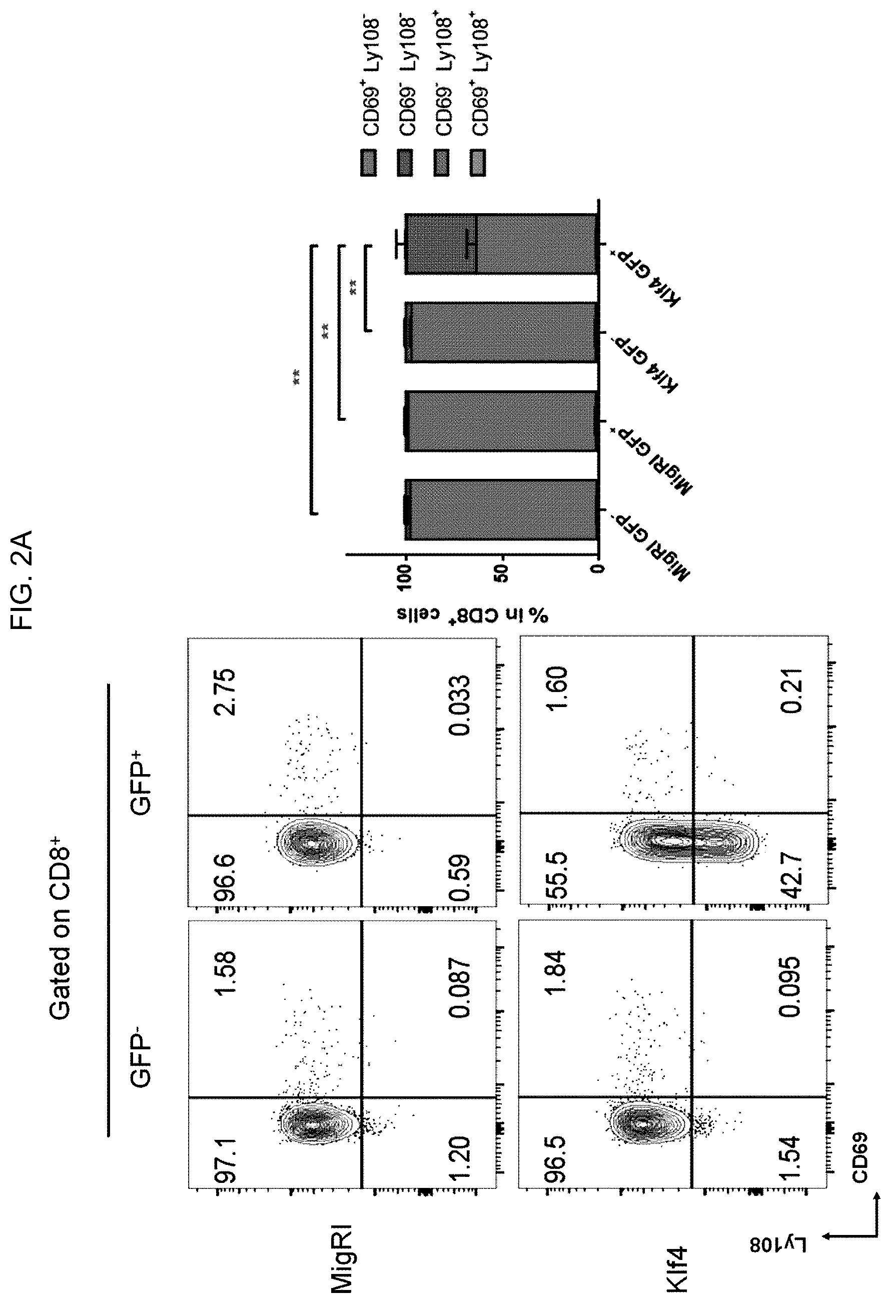 Patent US12617864 Figure 3 – Methods of activating and proliferating exhausted CD8 T cells, CD8 T cells with enhanced activity prepared by the same, and uses thereof
