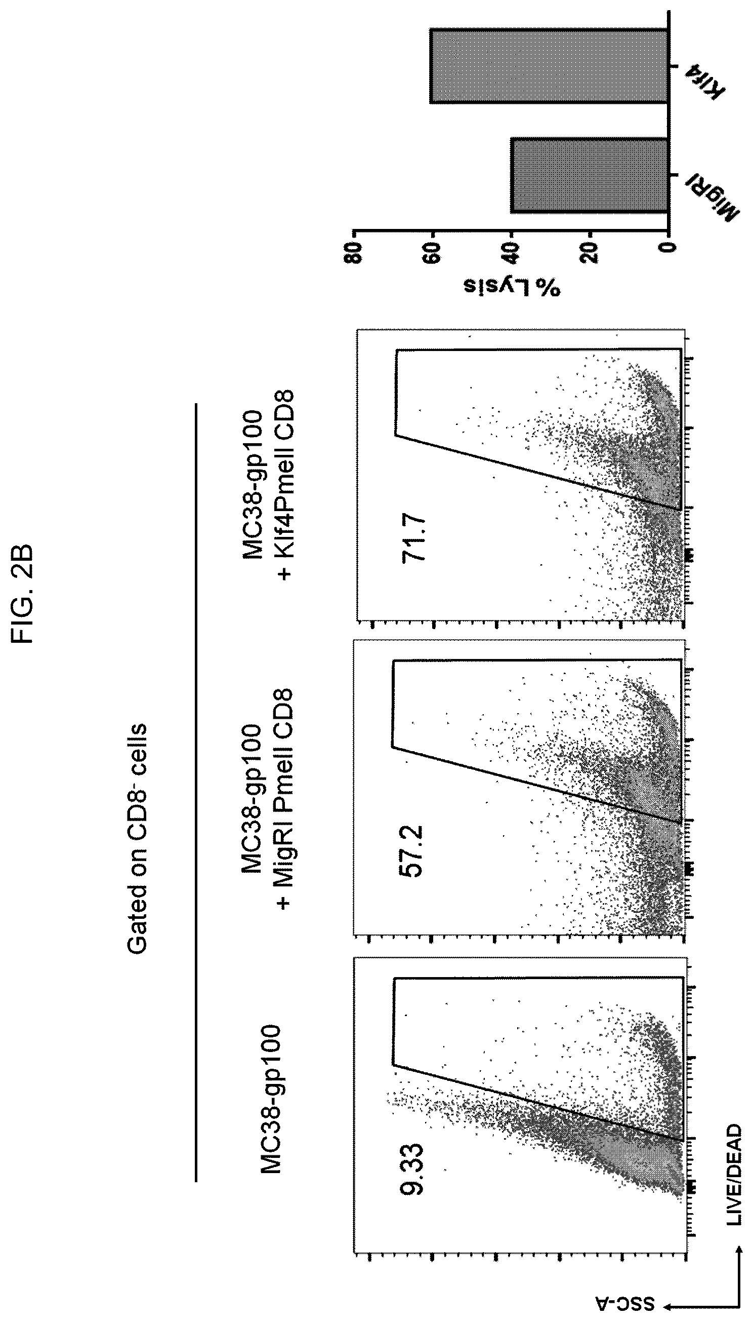 Patent US12617864 Figure 4 – Methods of activating and proliferating exhausted CD8 T cells, CD8 T cells with enhanced activity prepared by the same, and uses thereof