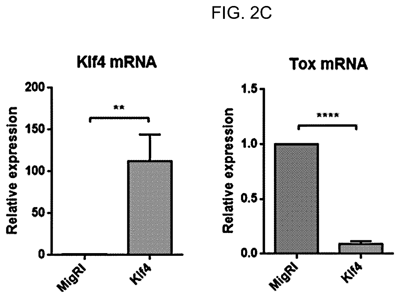Patent US12617864 Figure 5 – Methods of activating and proliferating exhausted CD8 T cells, CD8 T cells with enhanced activity prepared by the same, and uses thereof