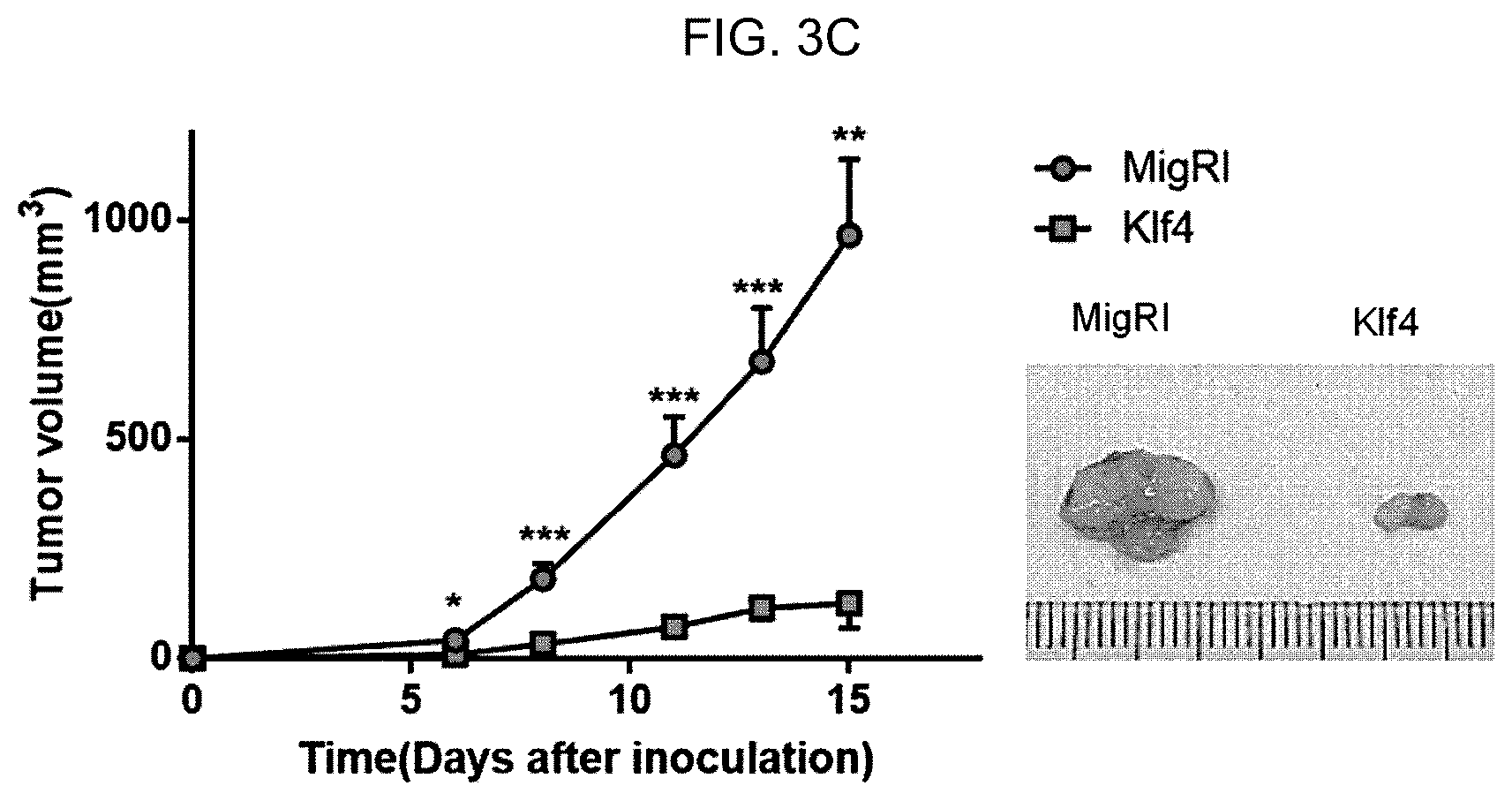 Patent US12617864 Figure 9 – Methods of activating and proliferating exhausted CD8 T cells, CD8 T cells with enhanced activity prepared by the same, and uses thereof