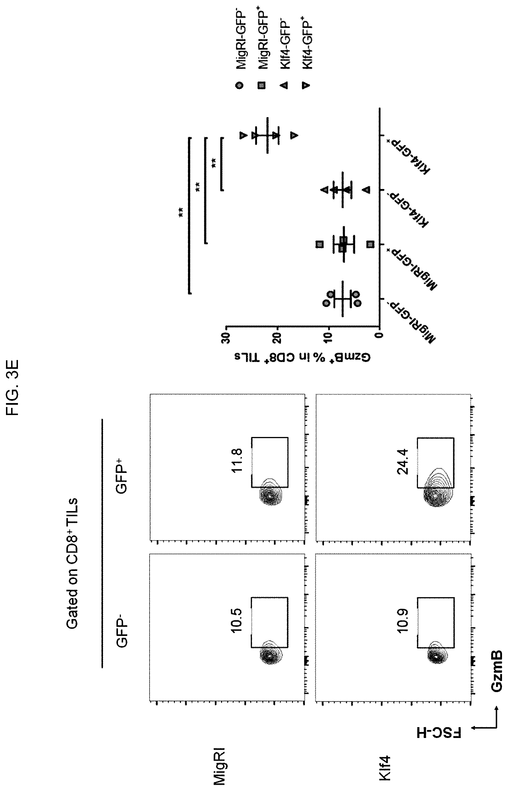 Patent US12617864 Figure 11 – Methods of activating and proliferating exhausted CD8 T cells, CD8 T cells with enhanced activity prepared by the same, and uses thereof