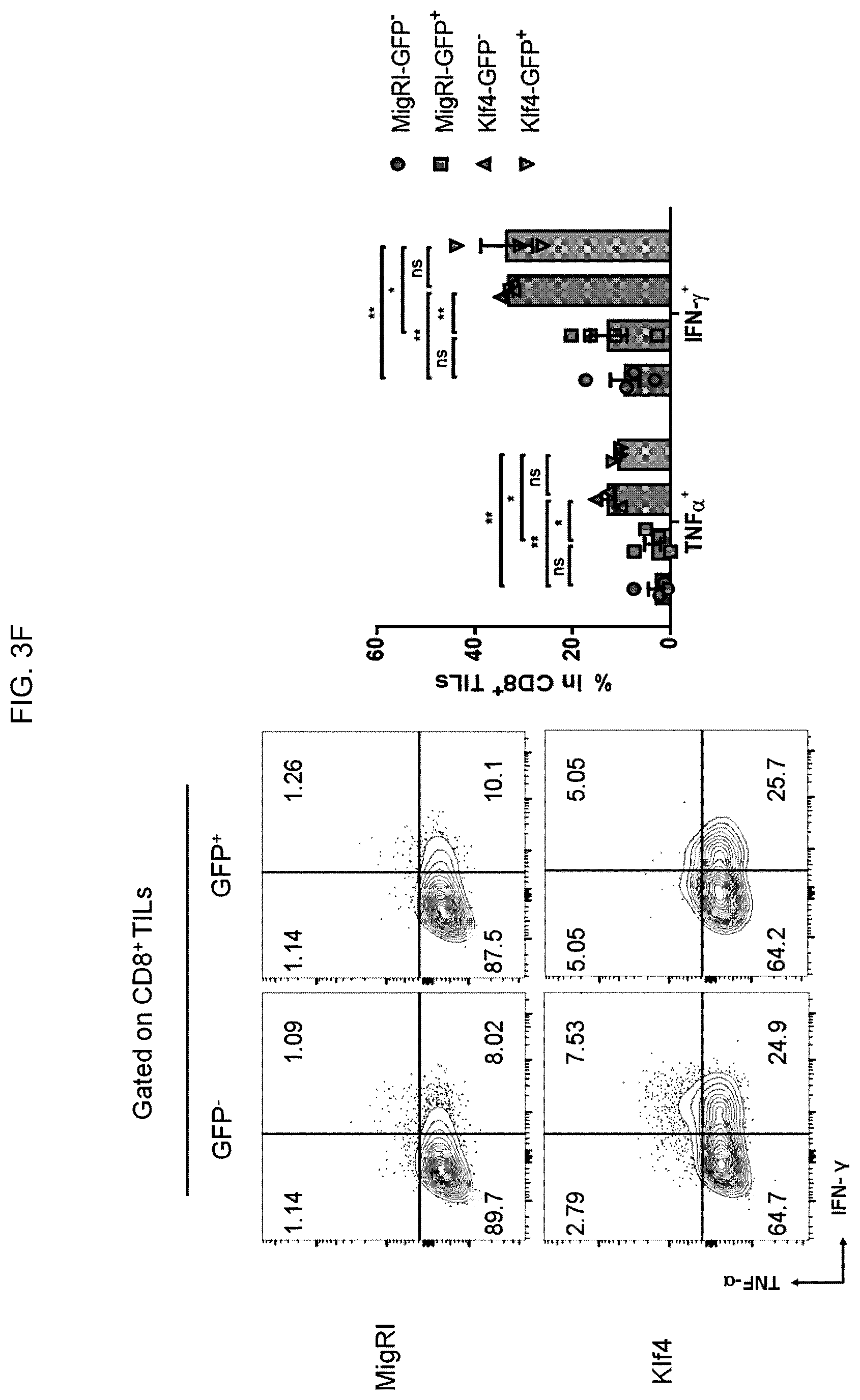 Patent US12617864 Figure 12 – Methods of activating and proliferating exhausted CD8 T cells, CD8 T cells with enhanced activity prepared by the same, and uses thereof