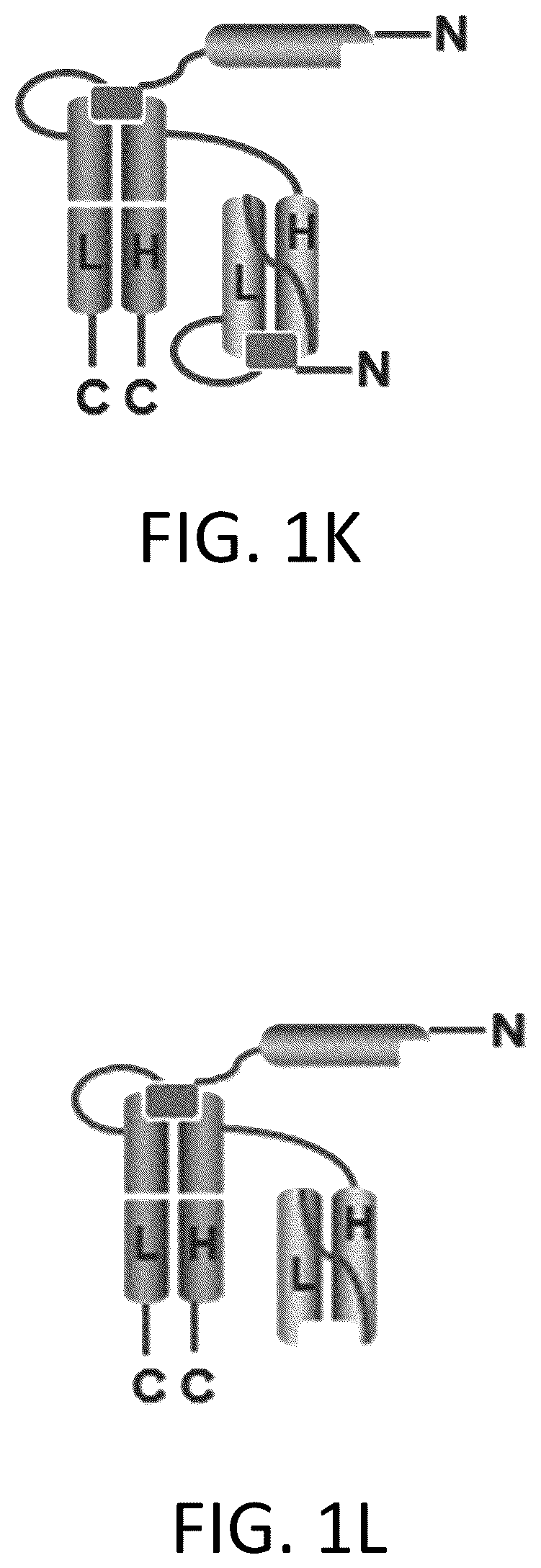 Patent US12617865 Figure 6 – Activated antibodies targeting PSMA and effector cell antigens