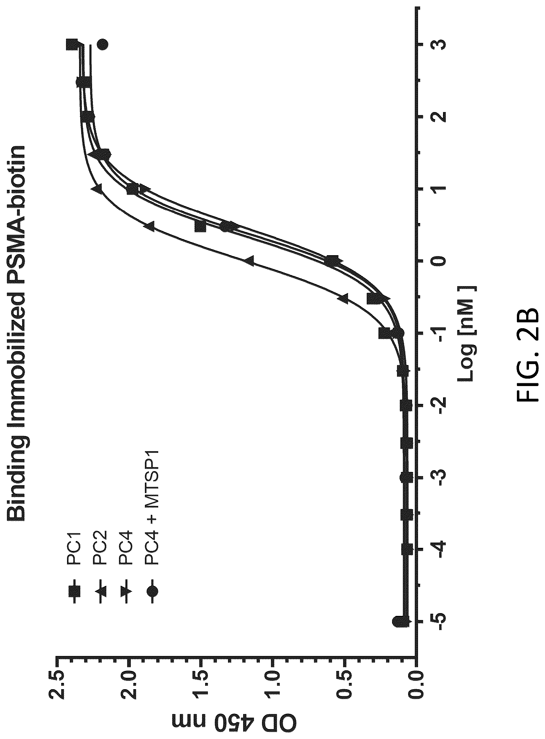 Patent US12617865 Figure 11 – Activated antibodies targeting PSMA and effector cell antigens