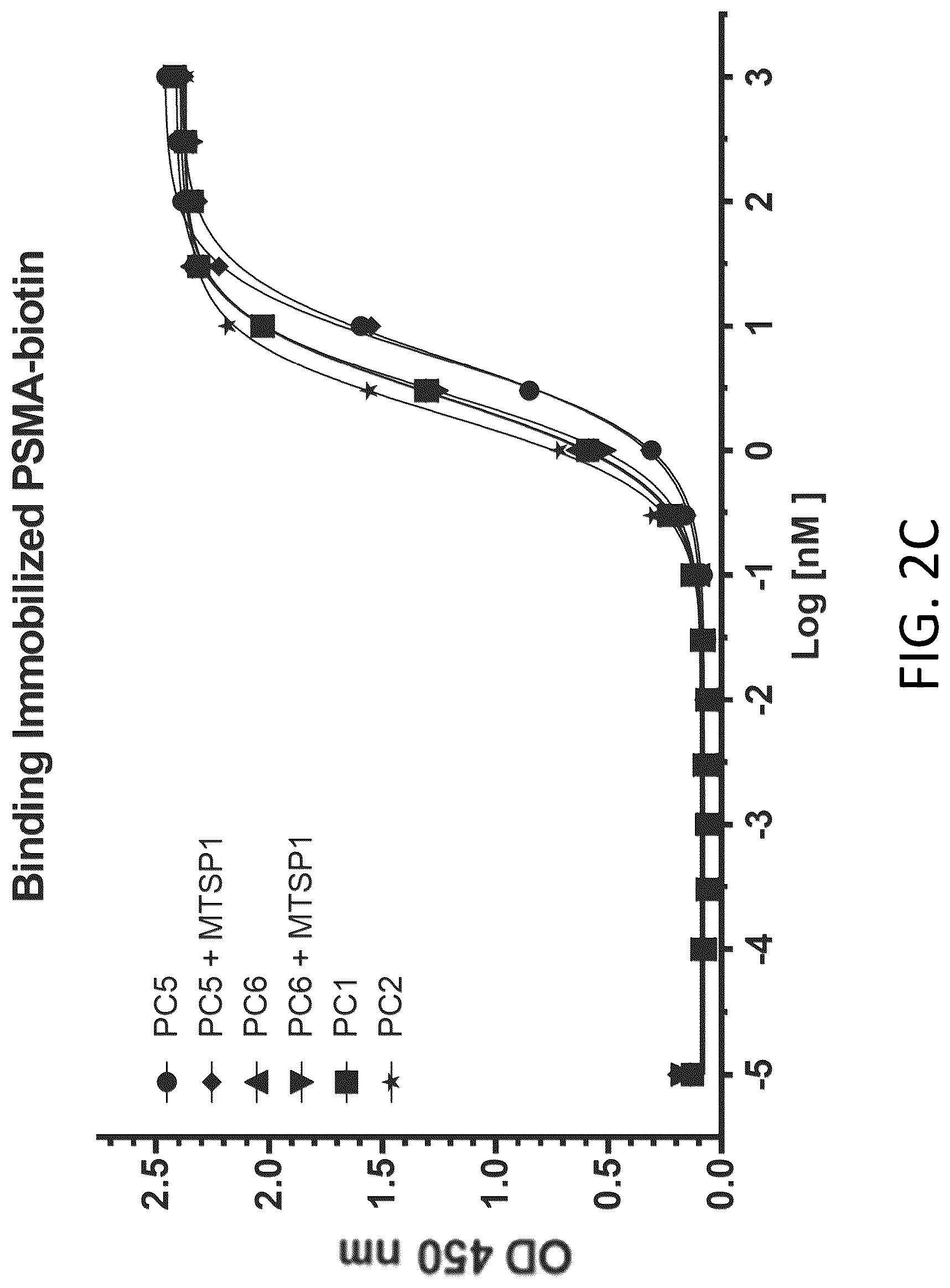 Patent US12617865 Figure 12 – Activated antibodies targeting PSMA and effector cell antigens